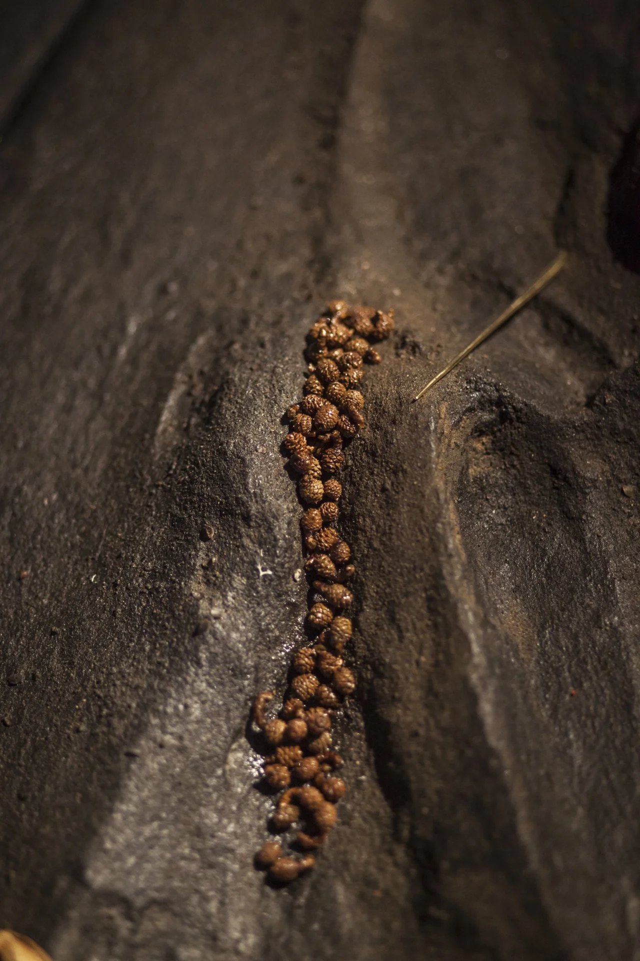 protopia collective_soshiro gallery_london sept 2024_photography alana proosa-219.jpg