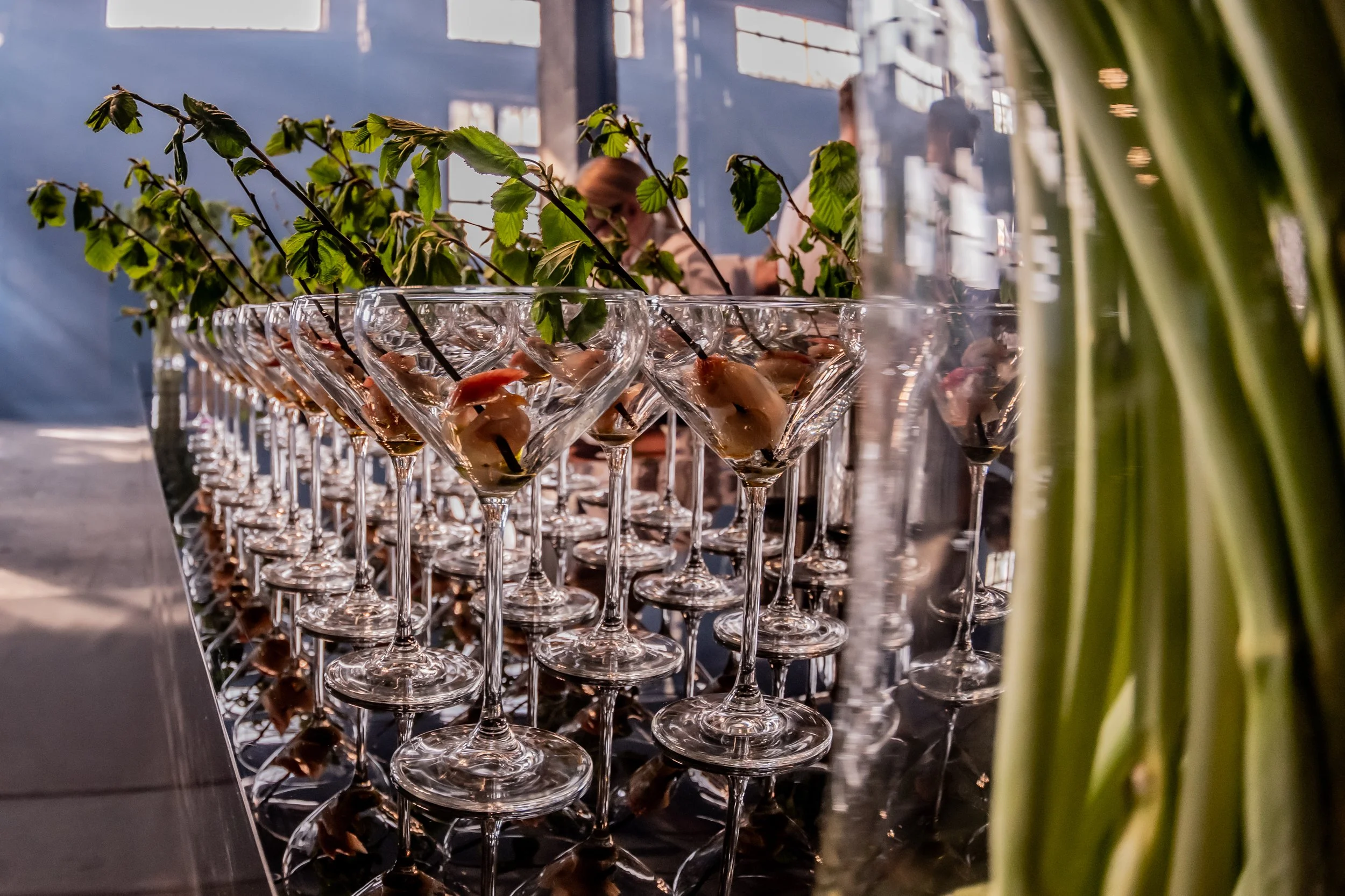 DSC_5110- by Karen Harms.jpg