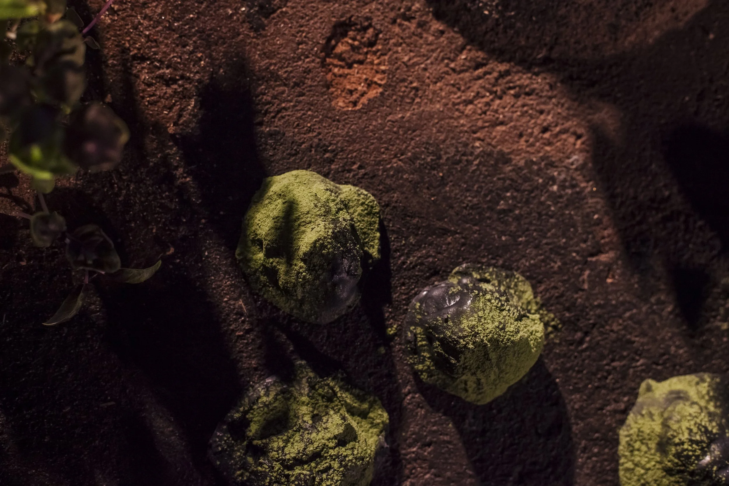 heiterX_august september 2023 photography alana proosa-101.jpg