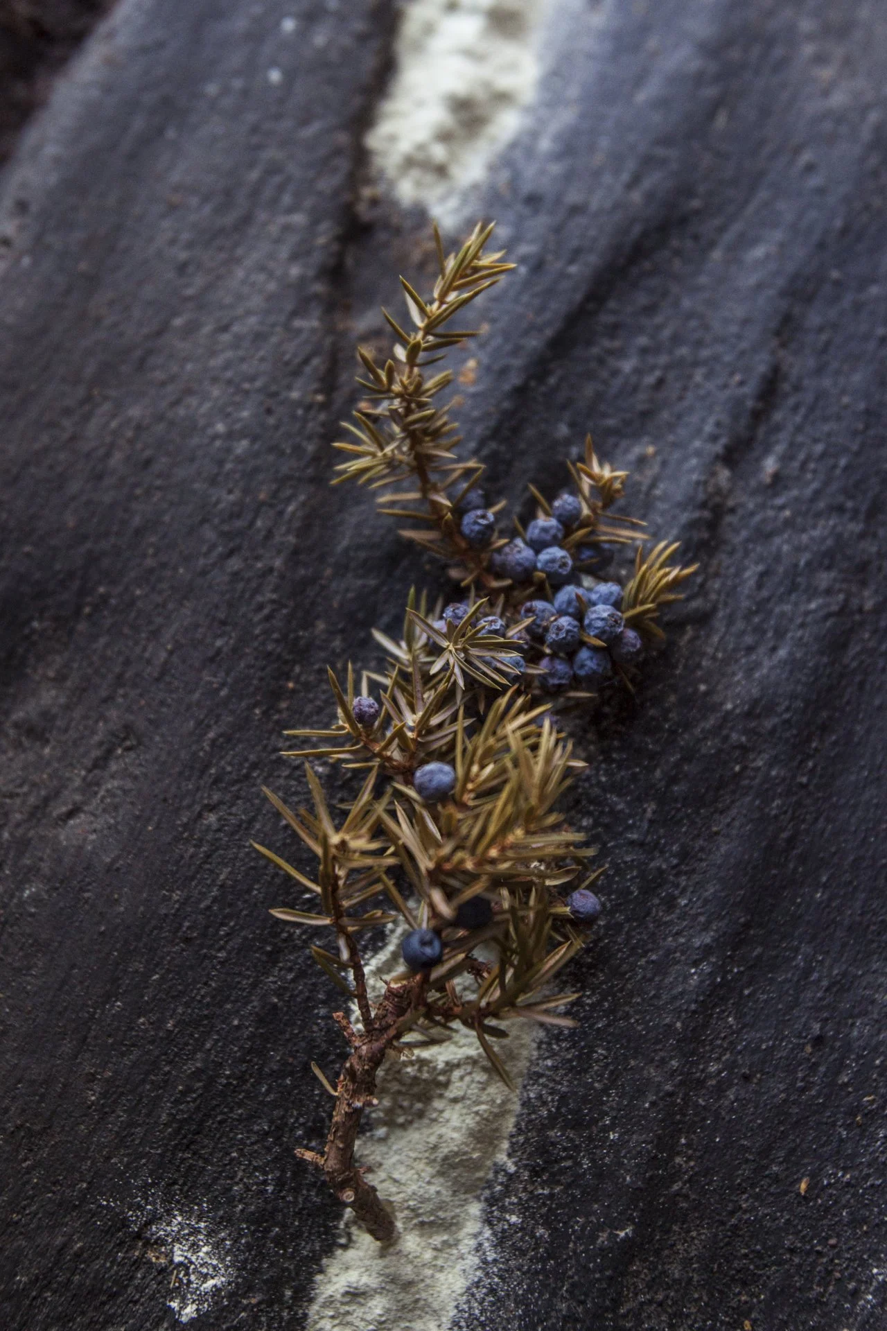 protopia collective_soshiro gallery_london sept 2024_photography alana proosa-155.jpg