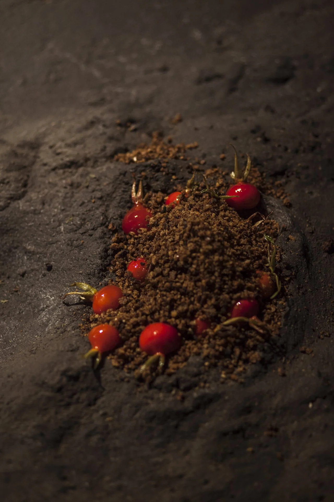 protopia collective_soshiro gallery_london sept 2024_photography alana proosa-238.jpg