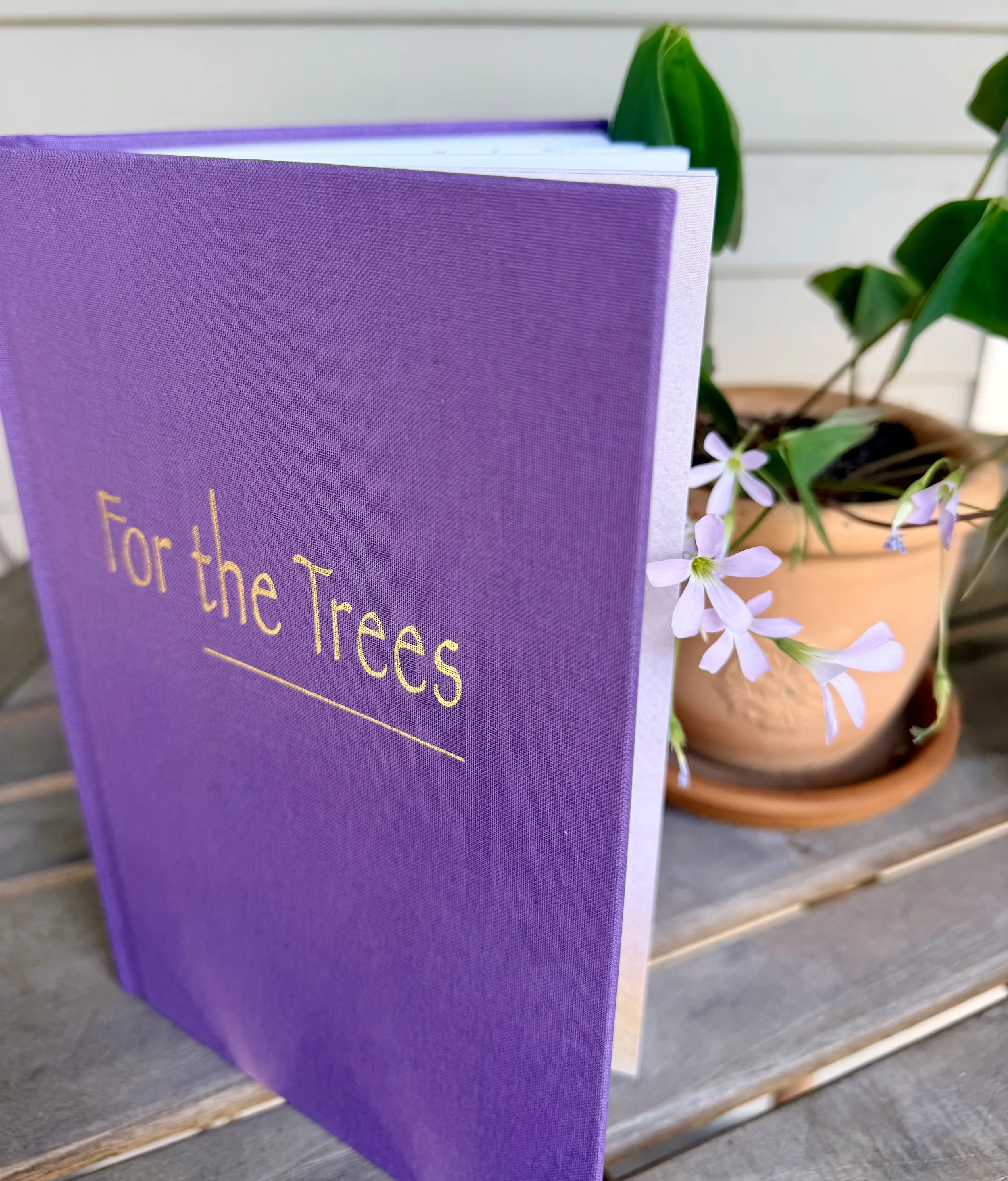 For the trees 1.webp