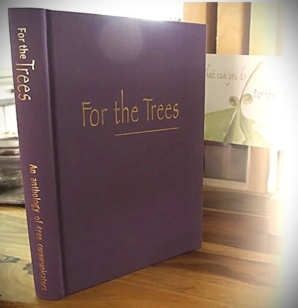 For the trees 2.webp