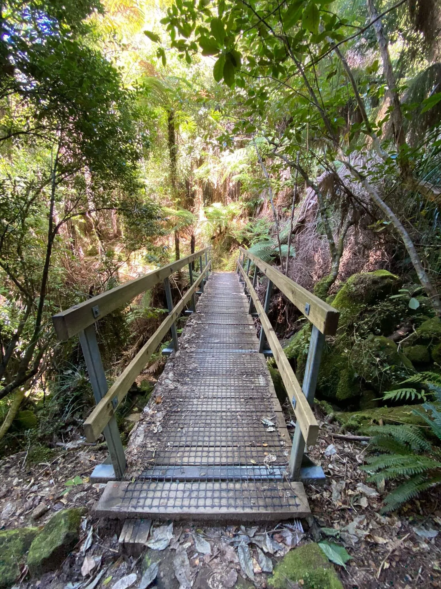 Wanderweg im Abel Tasman Nationalpark
