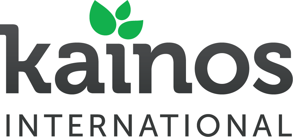 Kainos International