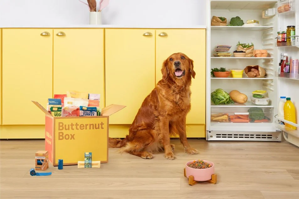 Open refrigerator and yellow cabinet with a golden retriever sitting on the floor, next to a box labeled 'Butternut Box' filled with pet food, and a pink bowl of pet food in front of the dog.