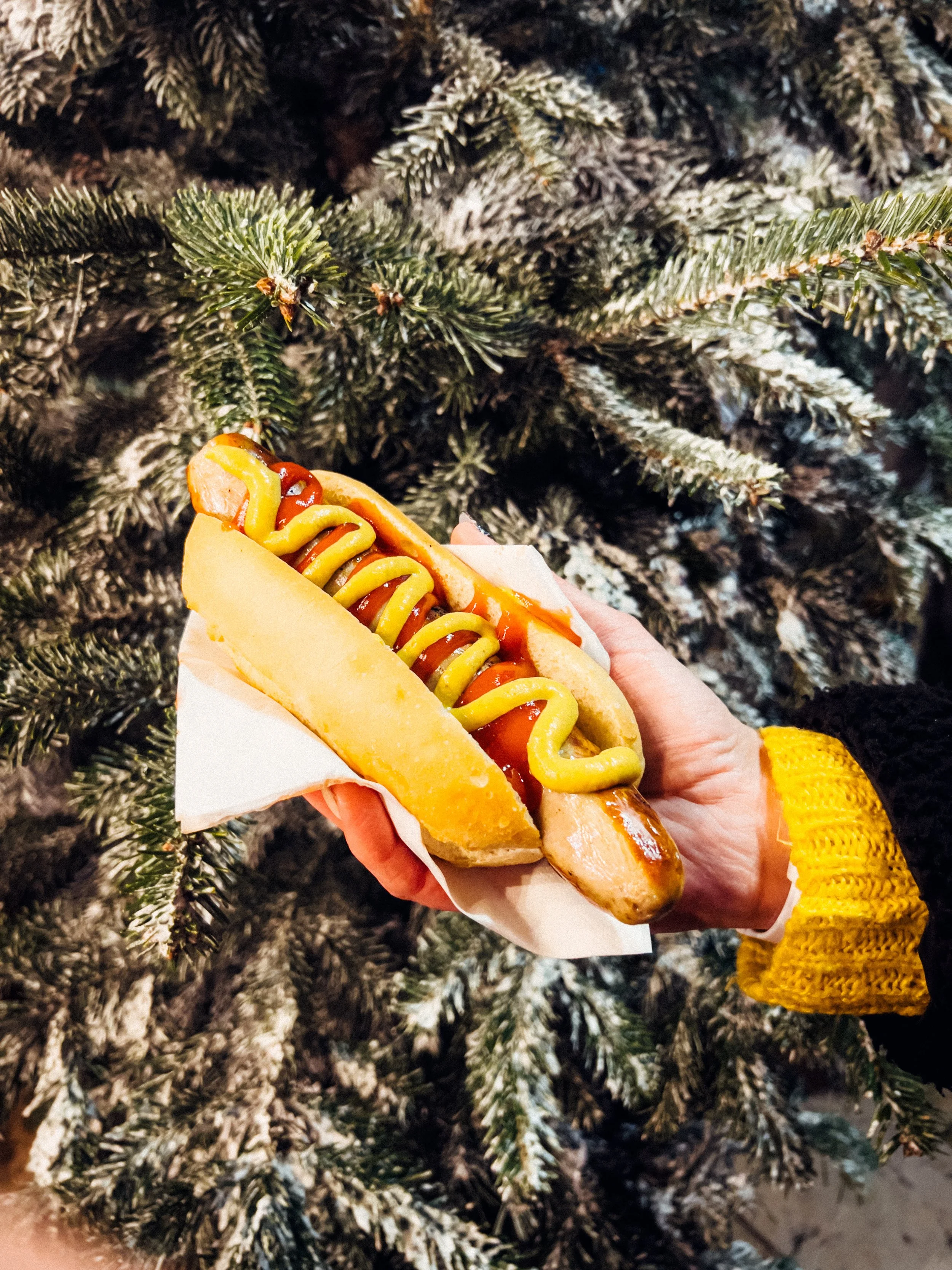 A hot dog with mustard and ketchup in a bun being held in front of snow-covered evergreen branches.