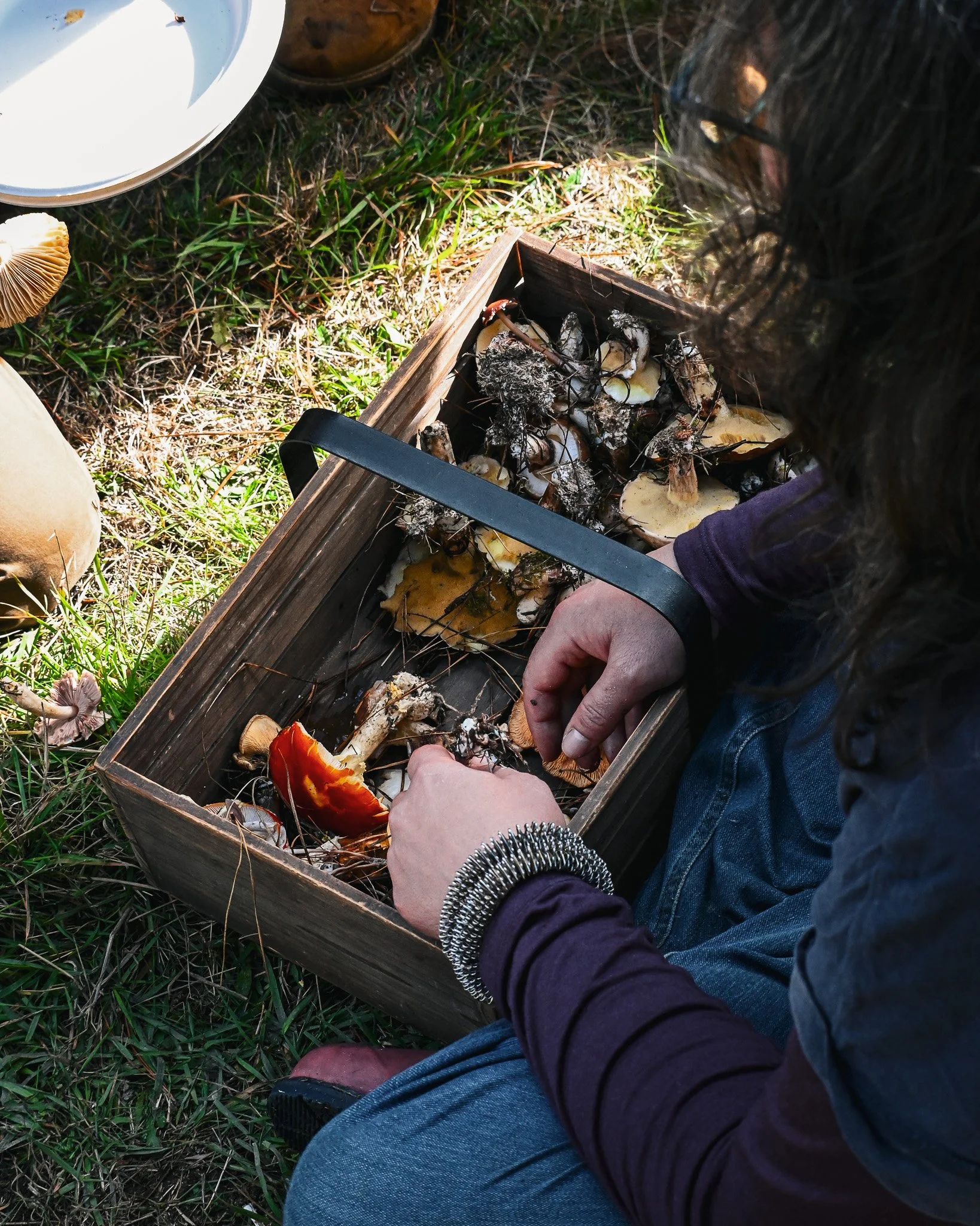 Foraging basket full of wild mushrooms