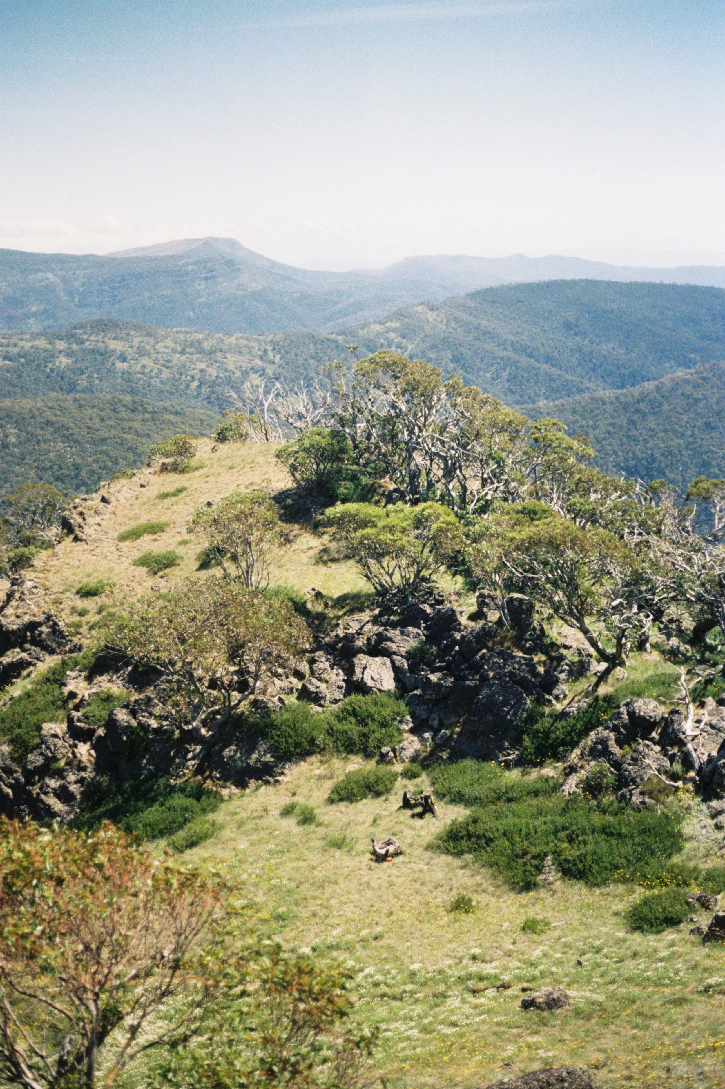 hiking packs scattered along Victorian Alpine ridgeline
