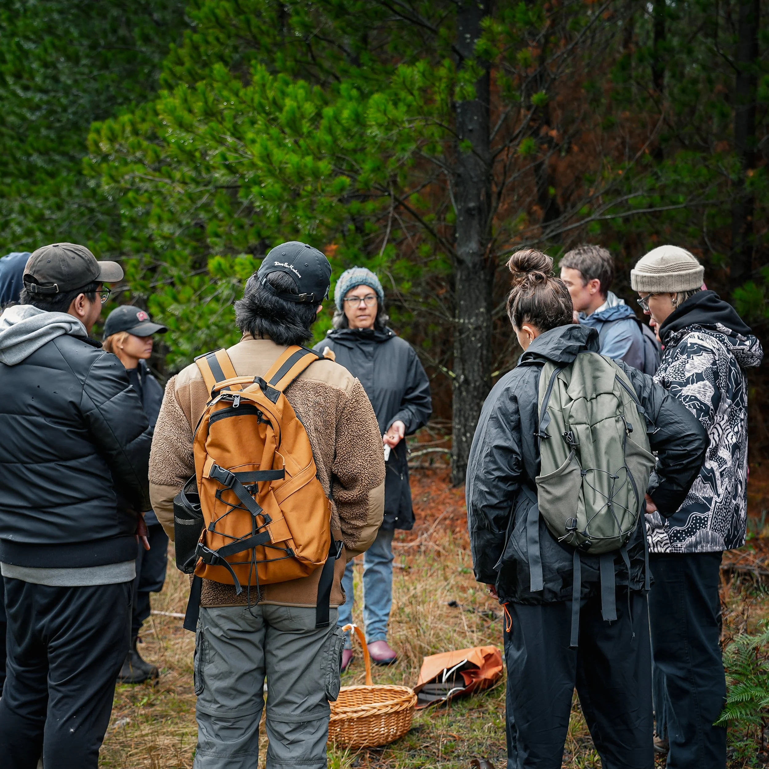 Group stands in a circle at the edge of the forest