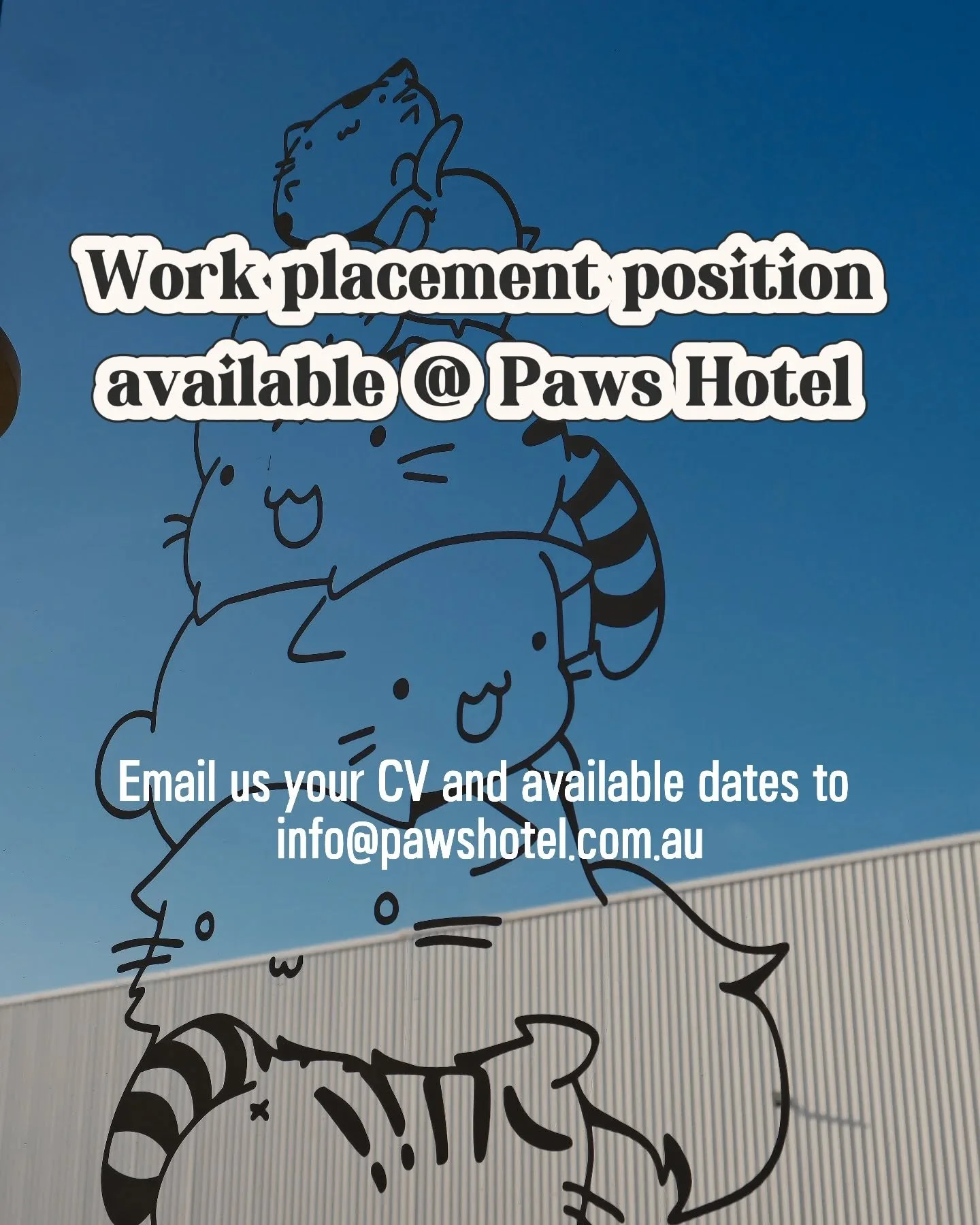 #melbourneboarding #melbournefoodie #melbournecatsitter #melbournecattery #mel #melbournecats #melbmoment