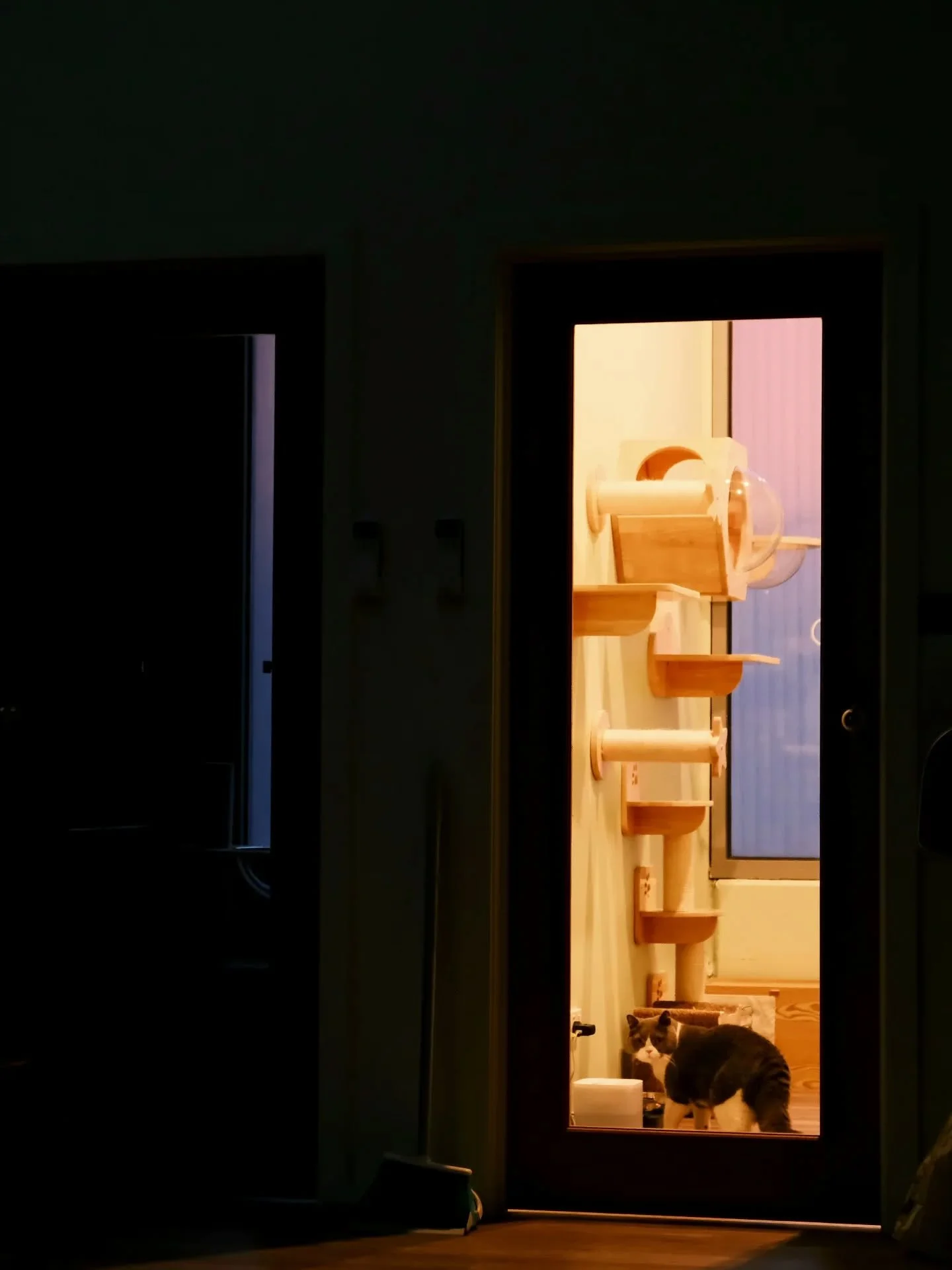 A beautiful sunset and rainbow @ Paws hotel
#melbourneboarding #melbournefoodie #melbournecatsitter #melbournecattery #mel #melbournecats #melbmoment #melbournecats #mel #melbournefood #travel