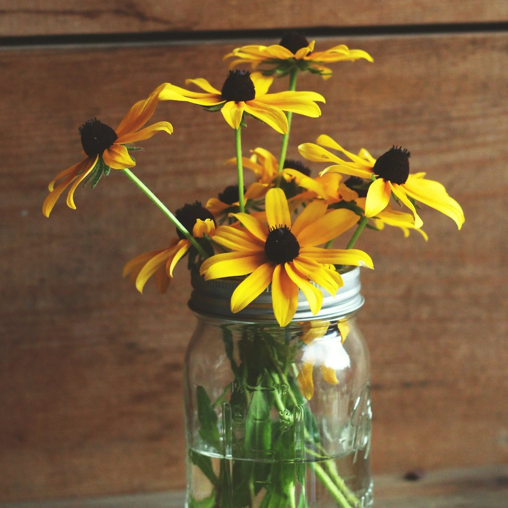 Springtime journaling playlist