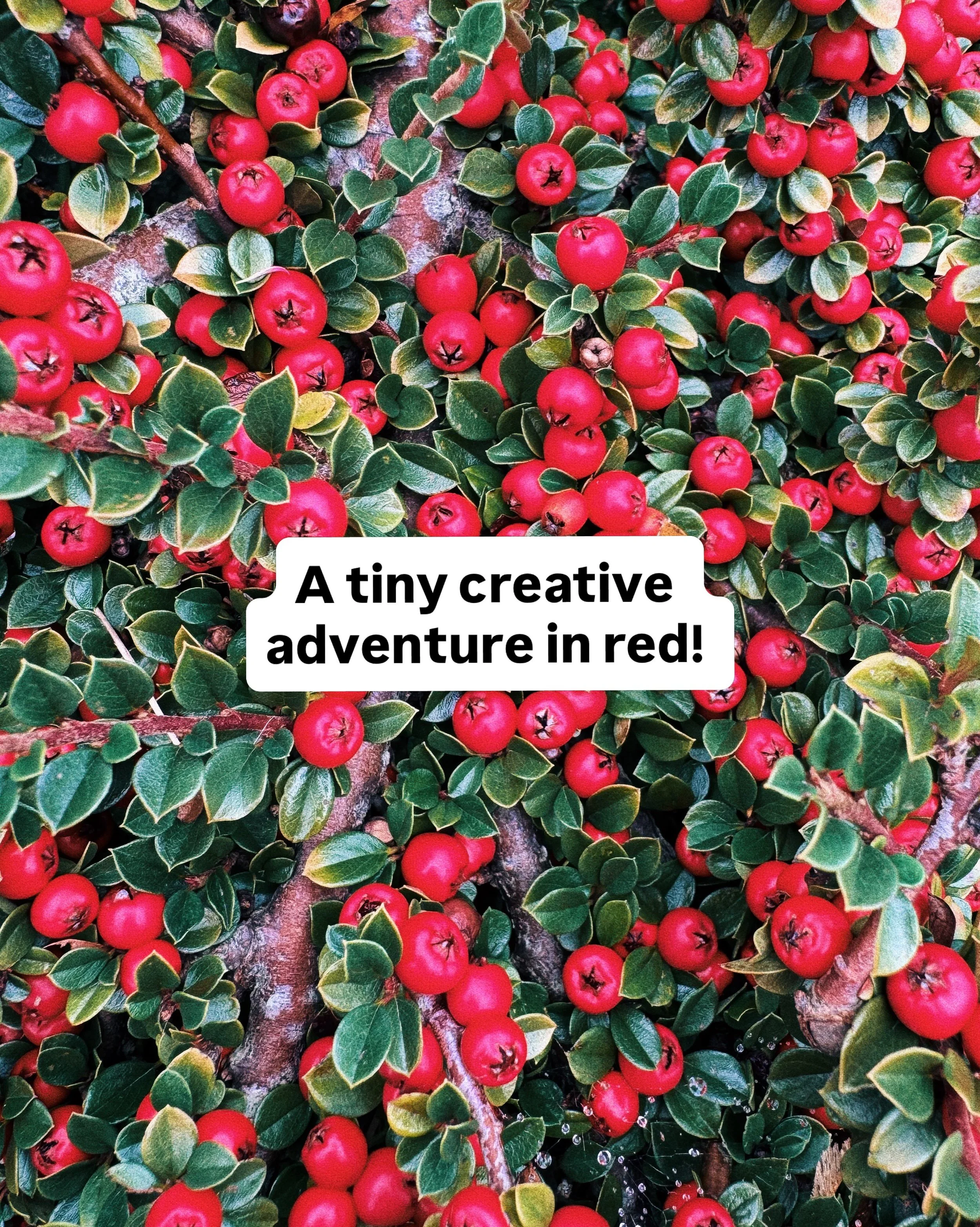 Went on a little colour walk with Ziggy today! ❤️🚗🧣After a night of broken sleep and a 5.30am start I&rsquo;ve been feeling pretty tired&hellip; but I really wanted to get outside and do something mindful, creative and a little bit joyful, without 