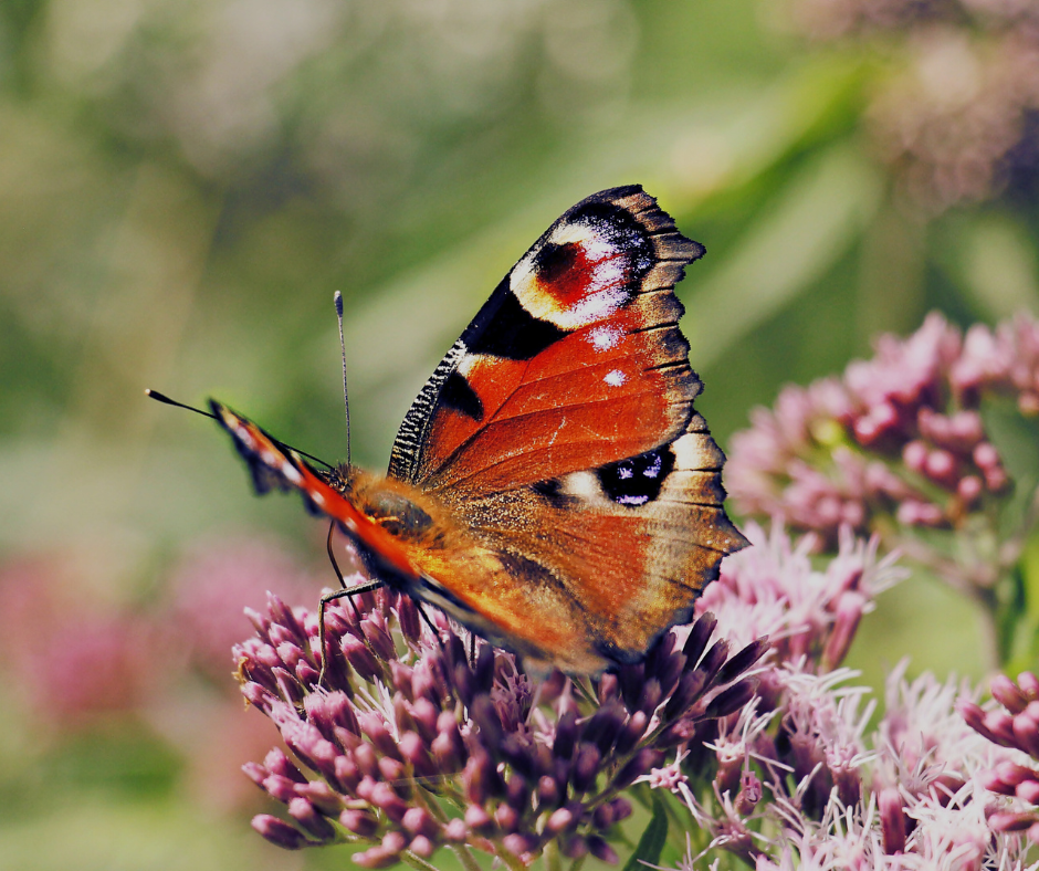 Your daily prompts for March 2025: Springtime