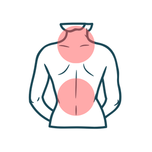 Front view of a cartoon human torso showing the heart in red and the lungs in pink within the chest cavity where there is neck and back pain.