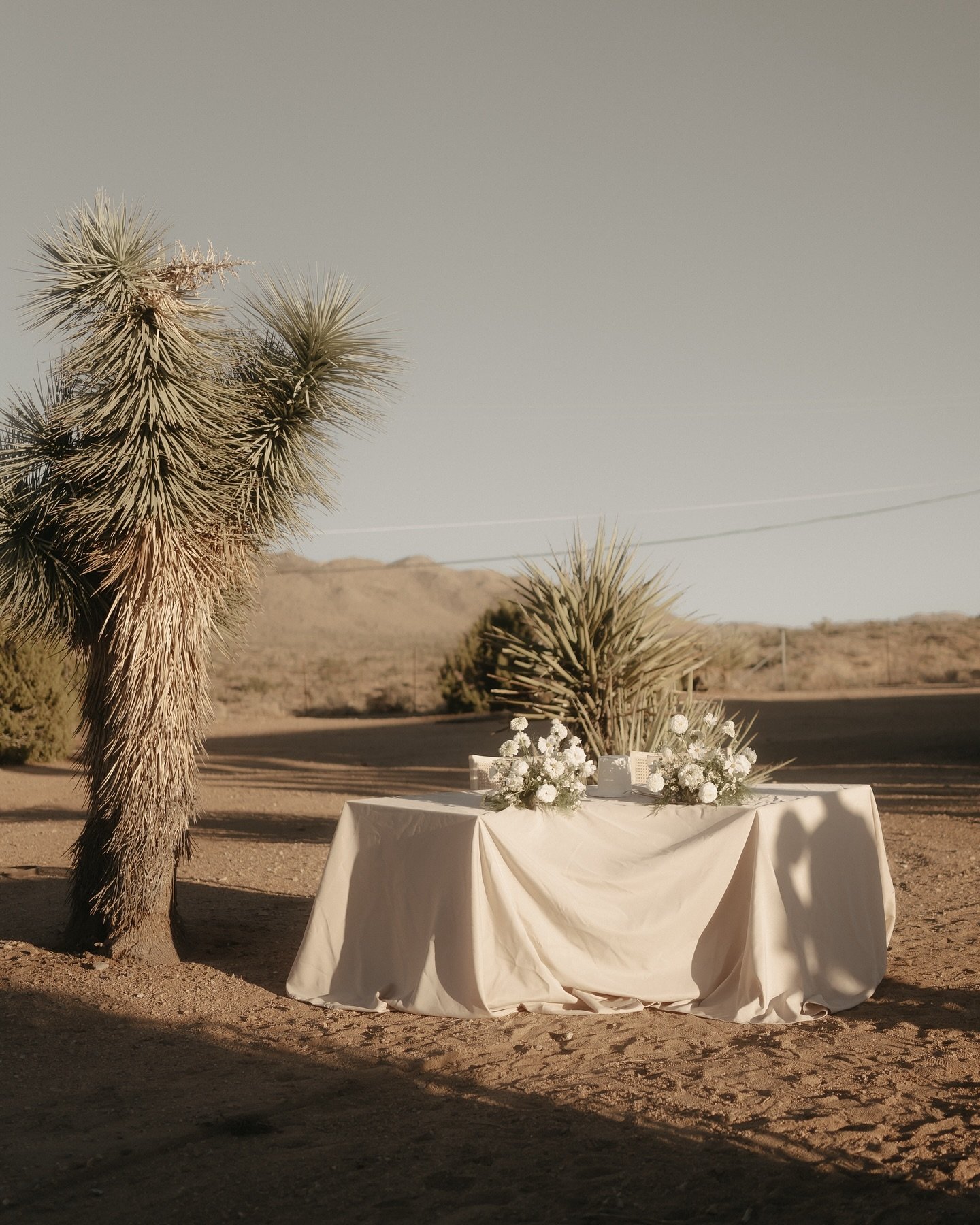 🏜️

photo: @oneglassofmilk_ 
planner: @goodhausevents 
mua: @bellaboomua 
flowers: @brookebloom.co 
hair: @thatblondiewolf 
cake: @ara.signature.sweets760 
bride/groom: @deanespejophotography @joshua_lee_espejo 

#desert #weddingphotography #elopeme