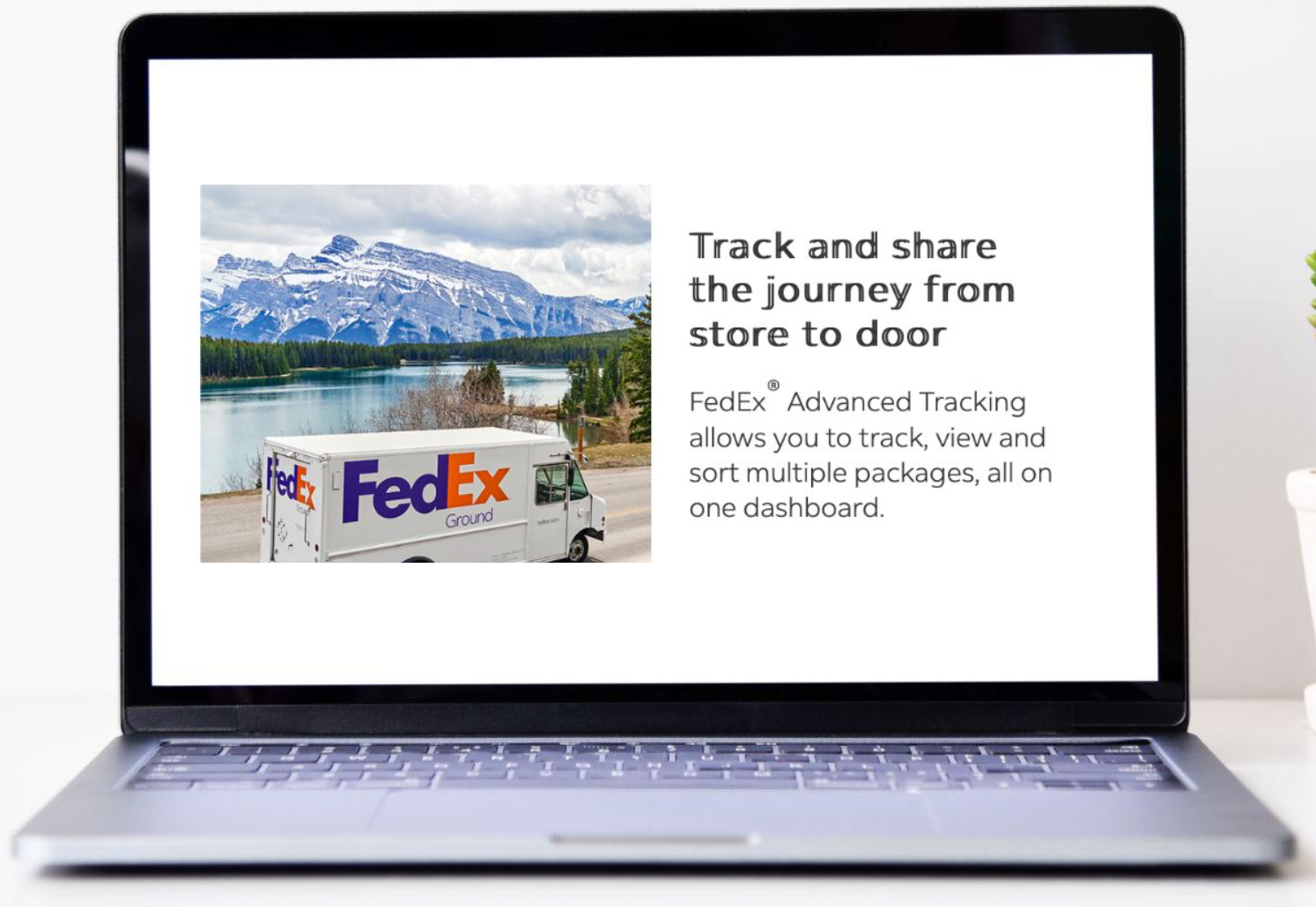 Screenshot 2023-11-16 at 17.01.11.png