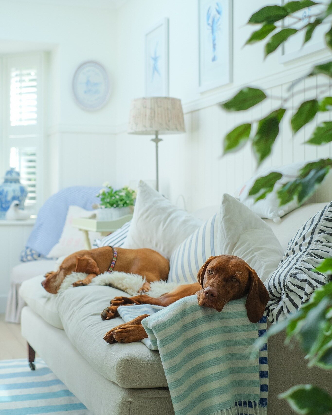 Sunday mood on the first week back after Christmas 💤

Photo taken by me for The Versatile Home Interiors Book 📗

@margoandmerry