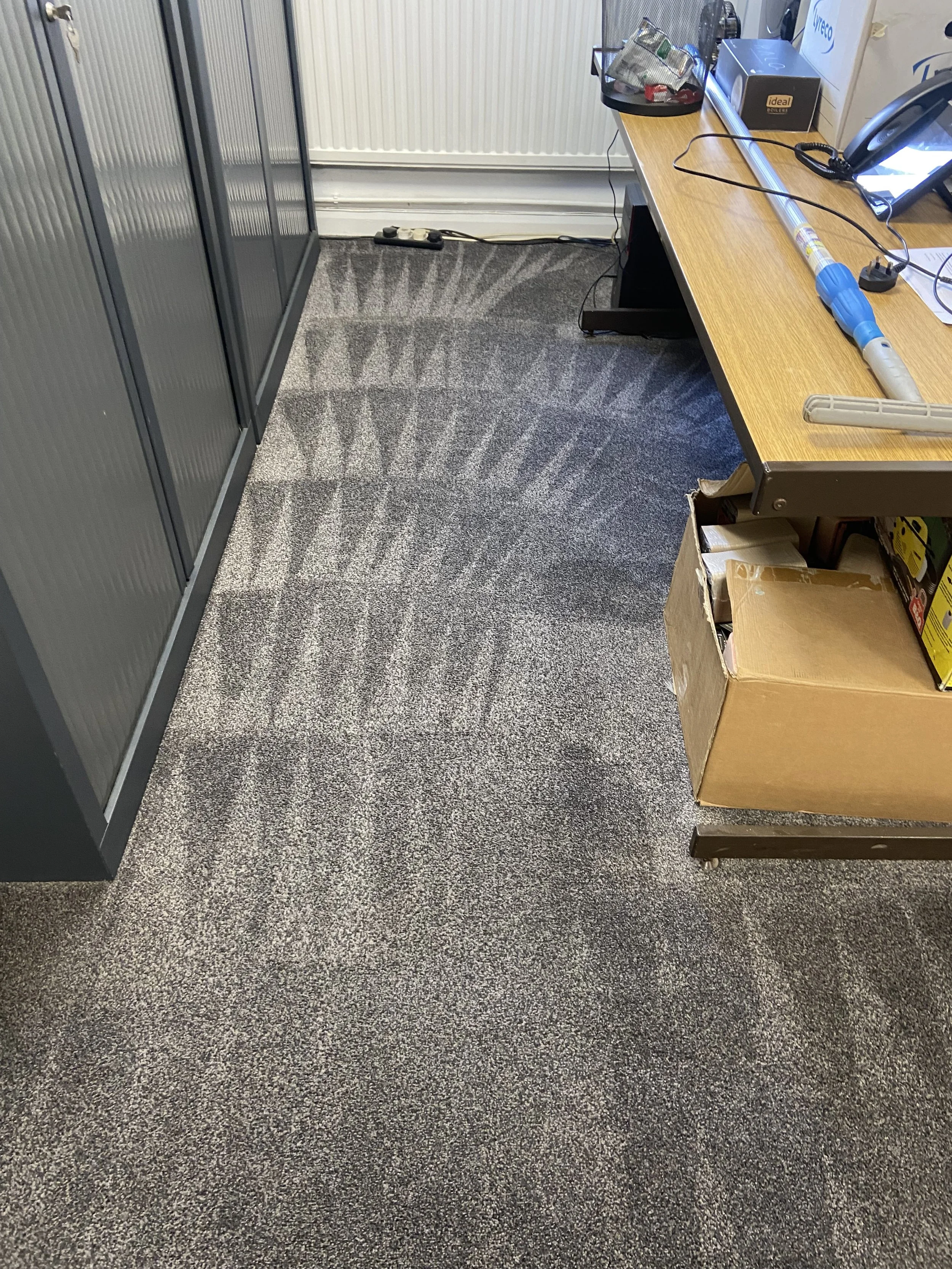 clean office carpet with lines.JPG