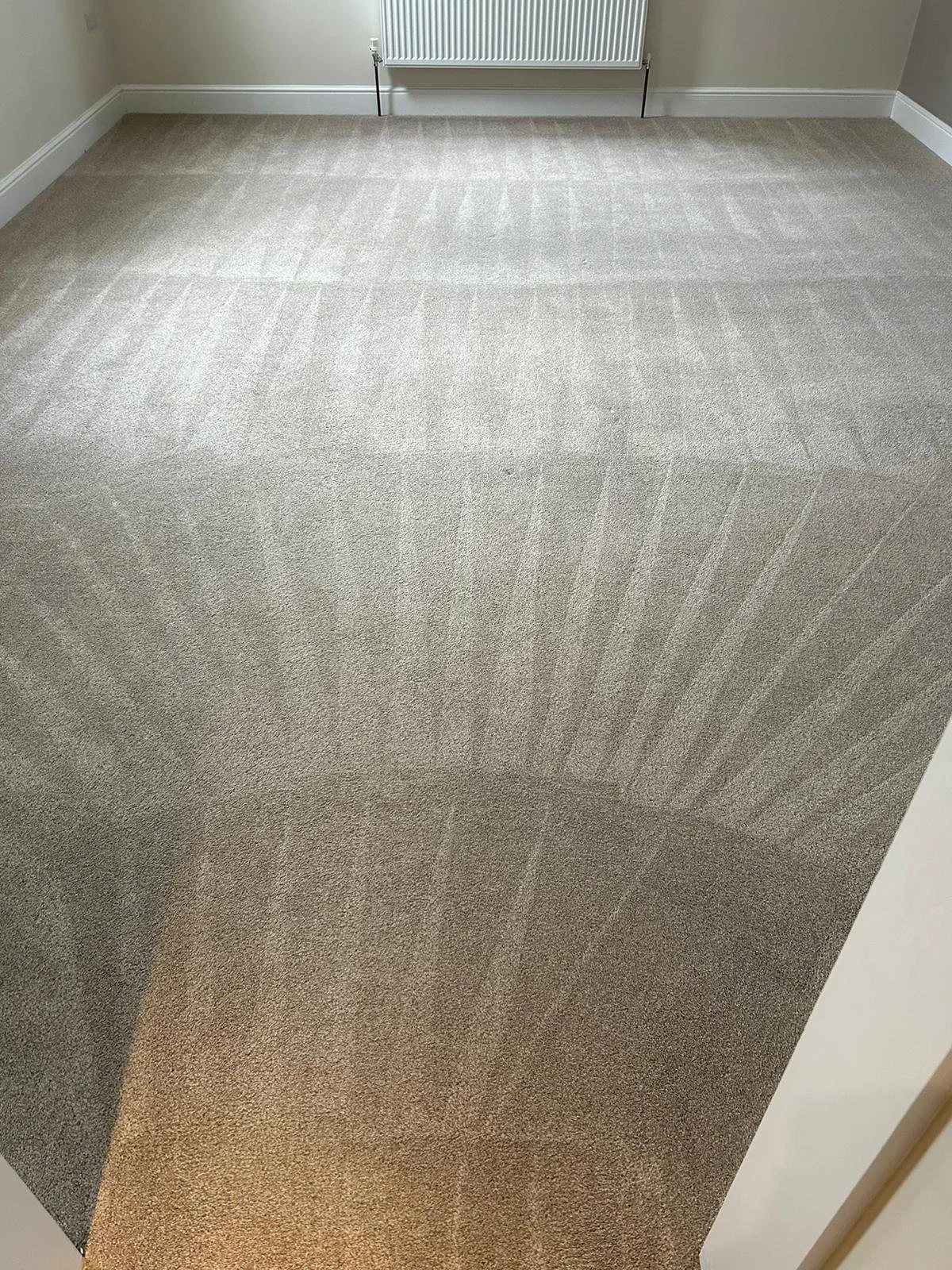 Clean carpet with lines.JPG