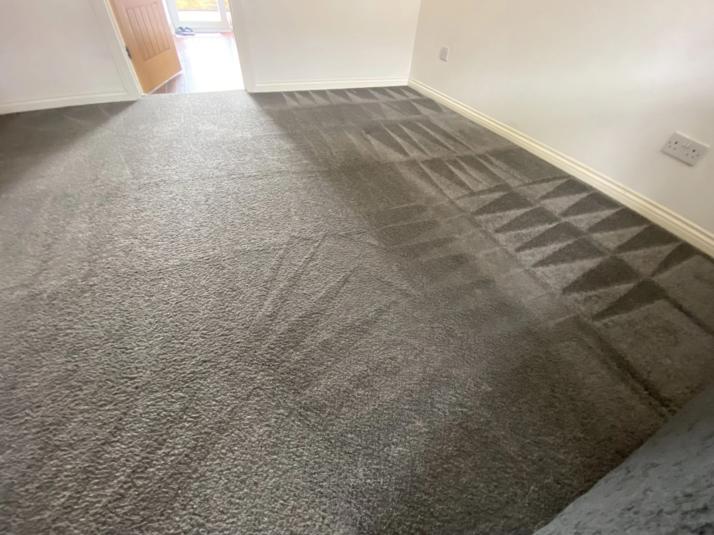 clean carpet.JPG