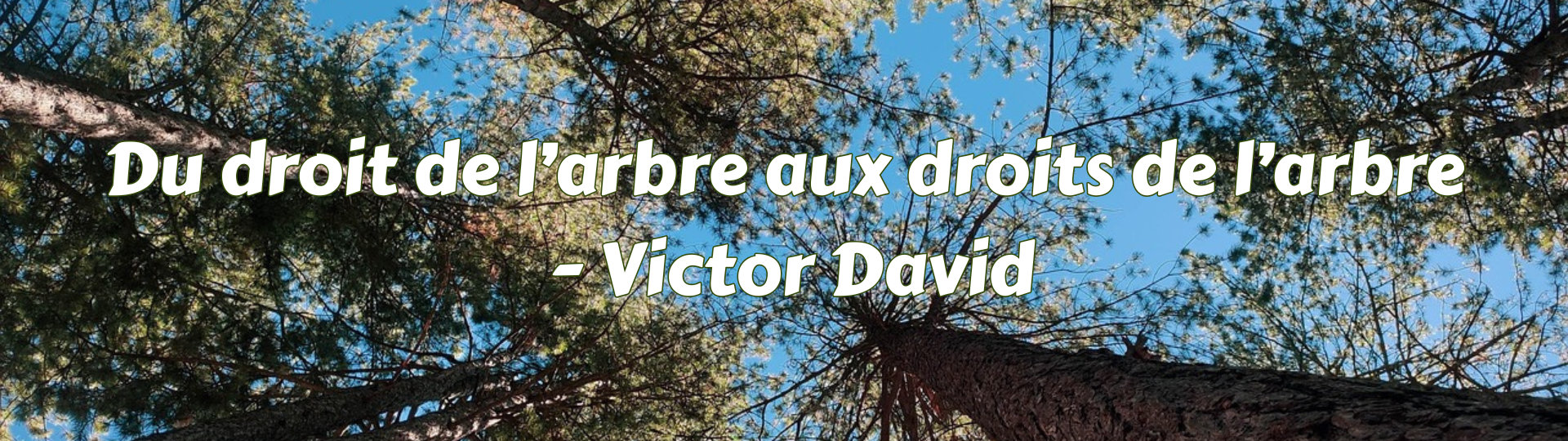 Du droit de l’arbre aux droits de l’arbre - Conférence
