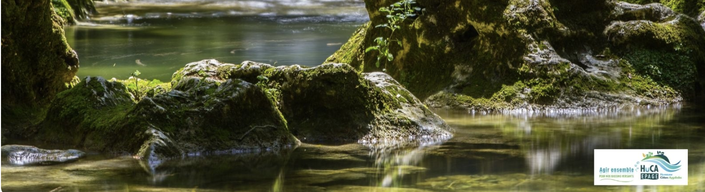 "De l'Huveaune à la Grande Bleue" Action citoyenne de dépollution de l'EAU