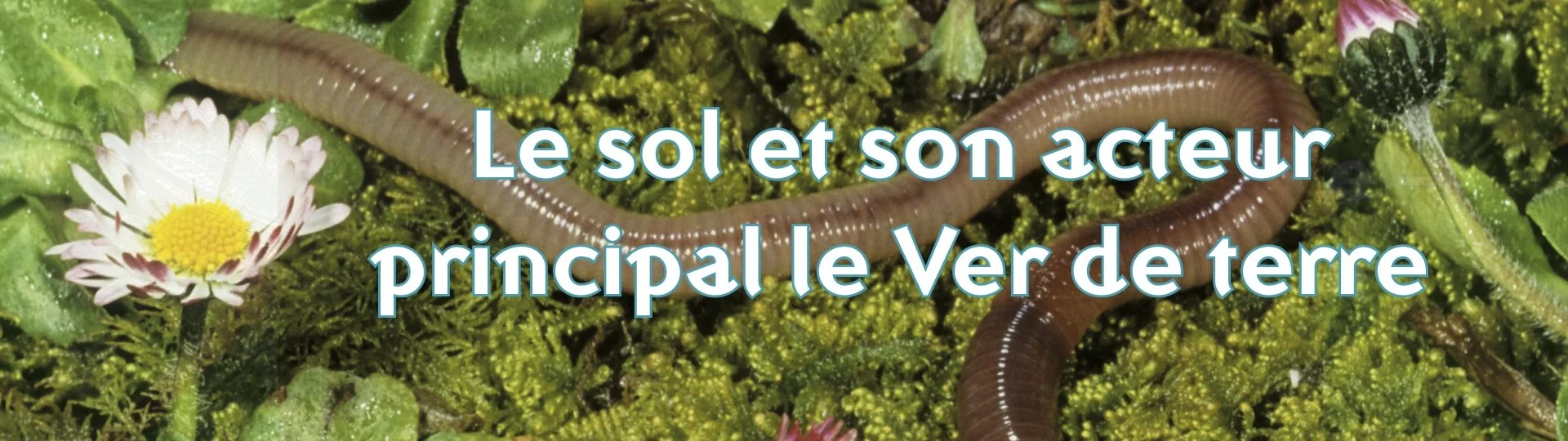 Conférence sur le sol et son acteur principal le Ver de terre