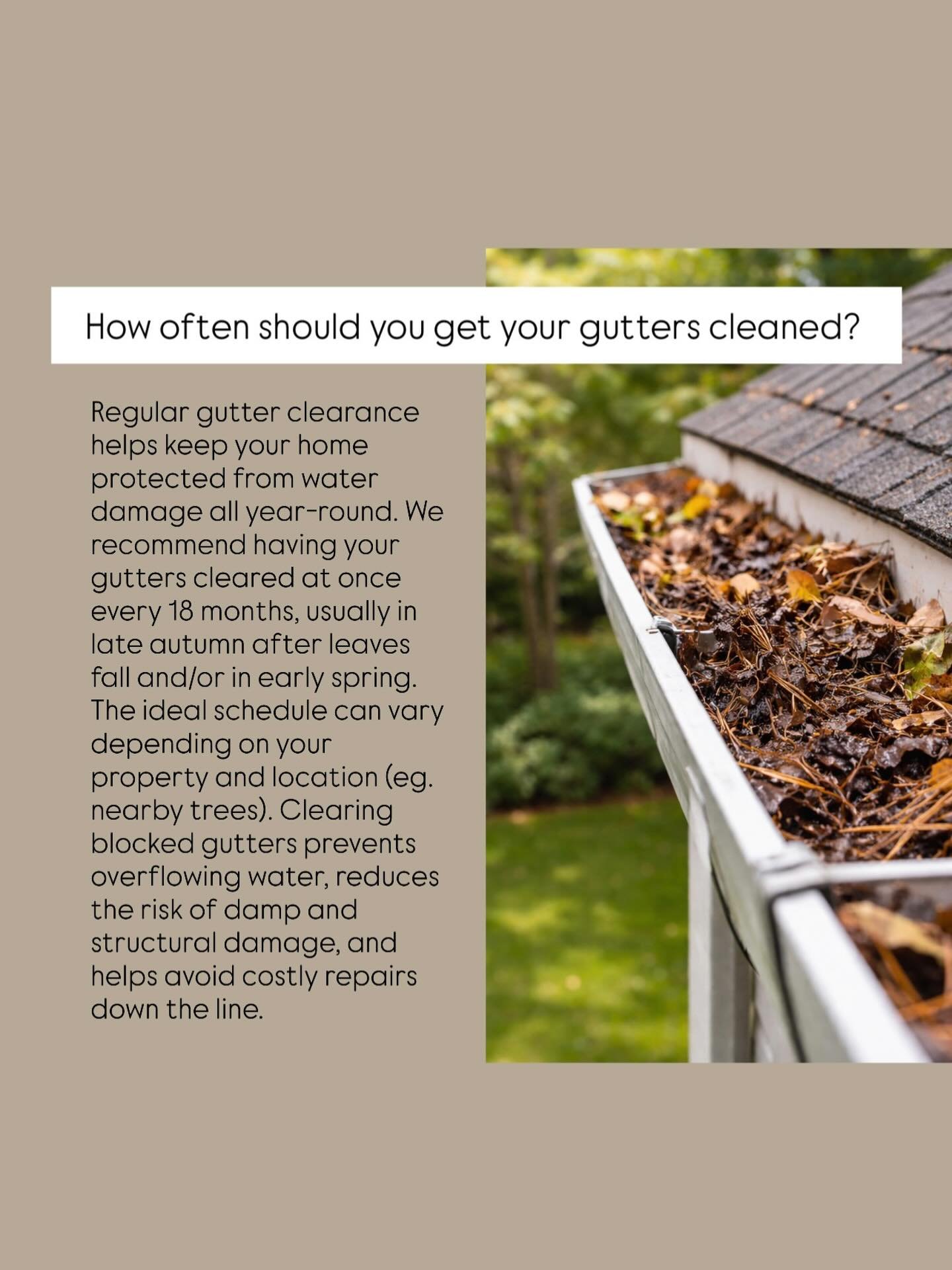 How often should you get your gutters cleaned? 🤔