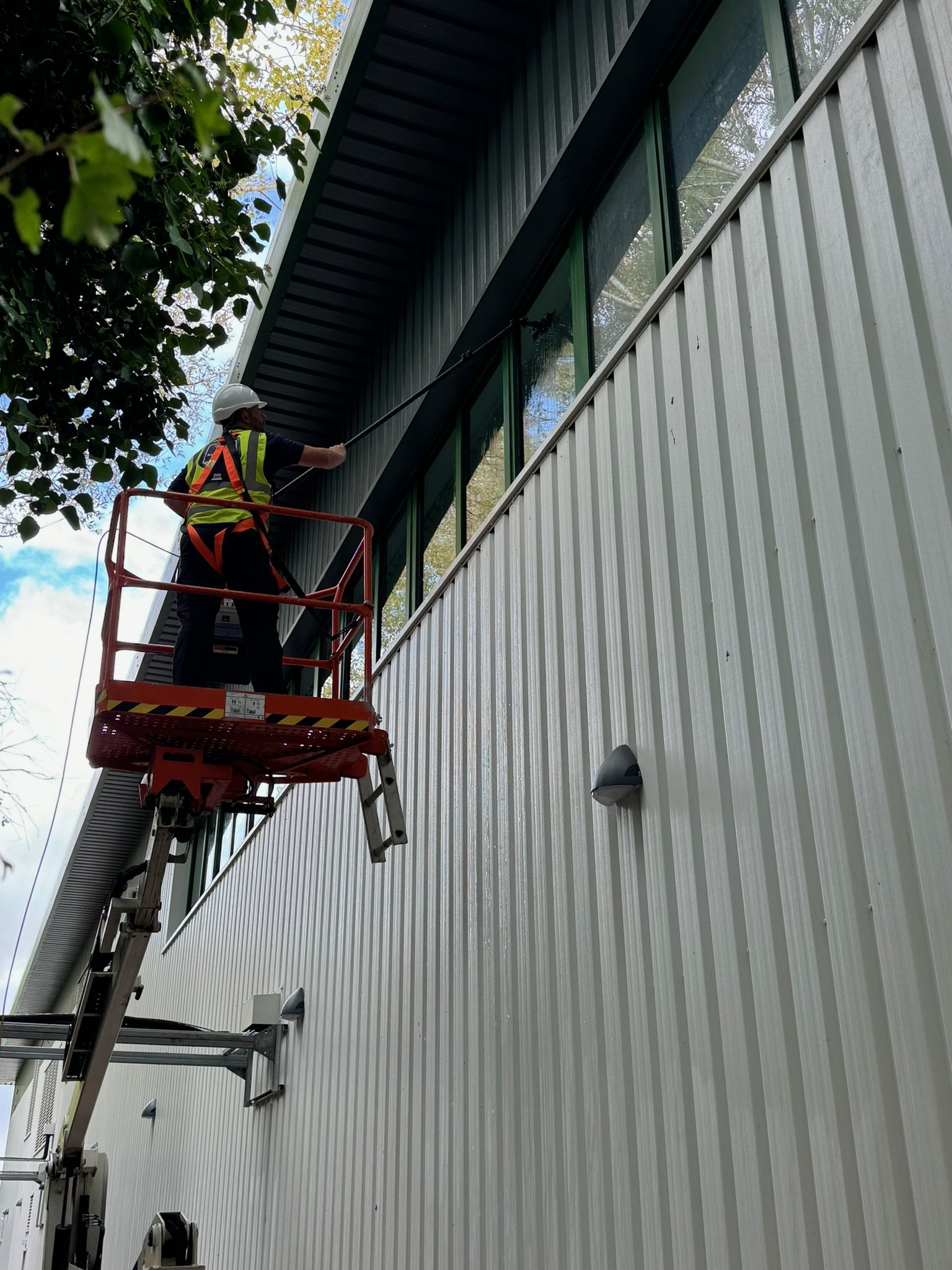 Commercial Window Cleaning