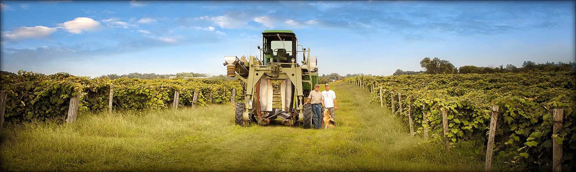 farmers-in-grape-vinyard-posing-with-tractor-and-dog-george-disario-100831-186-v2.jpg