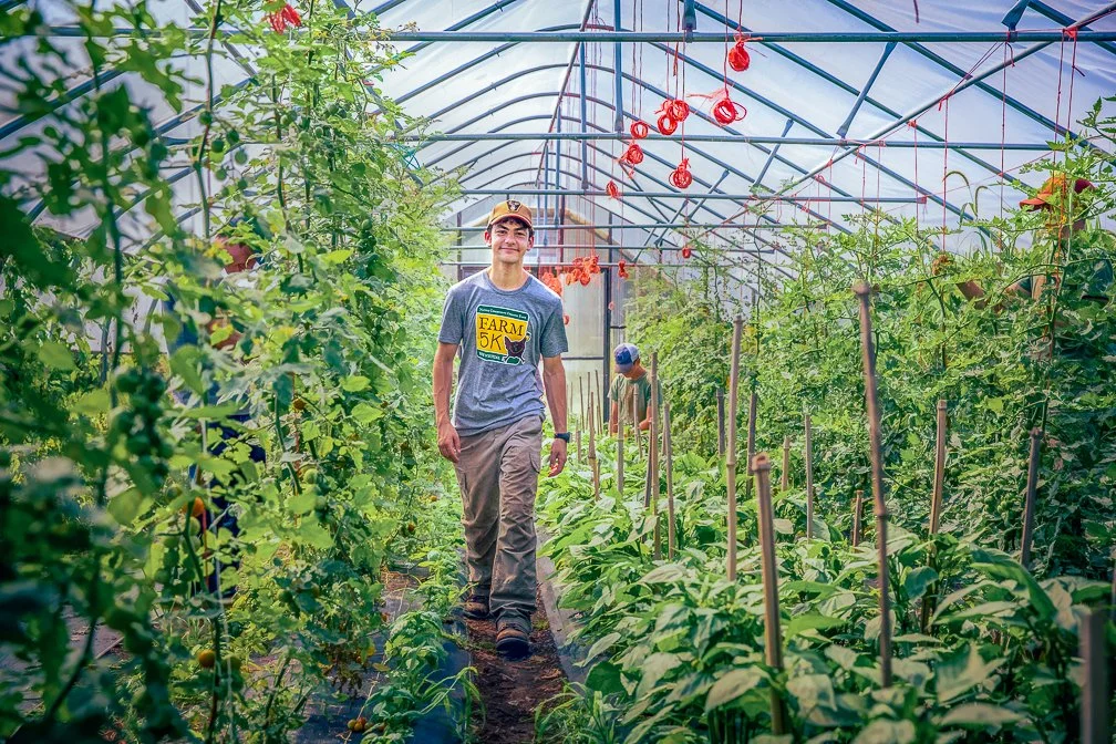 A greenhouse worker walking along a row of crops, smiling at the camera in New Hampshire.