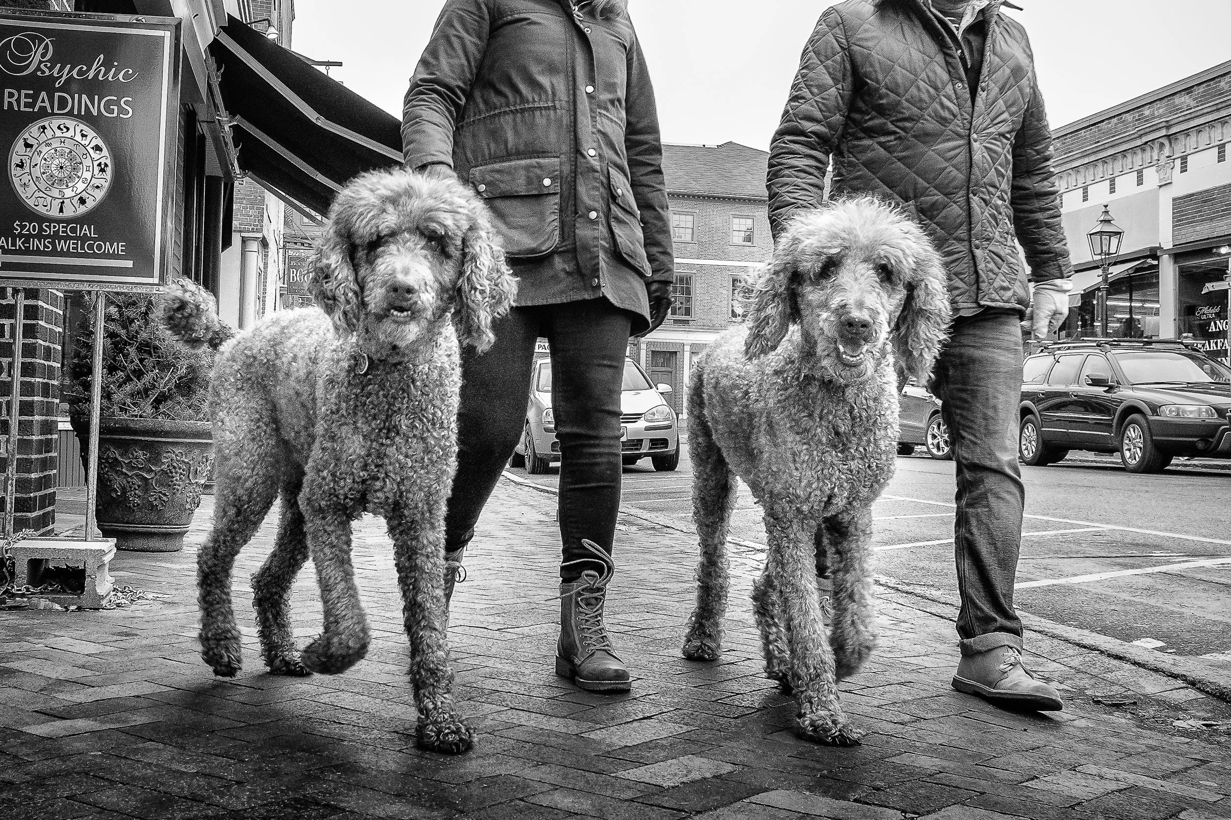 george-disario-261006-website-street-bw-9.jpg