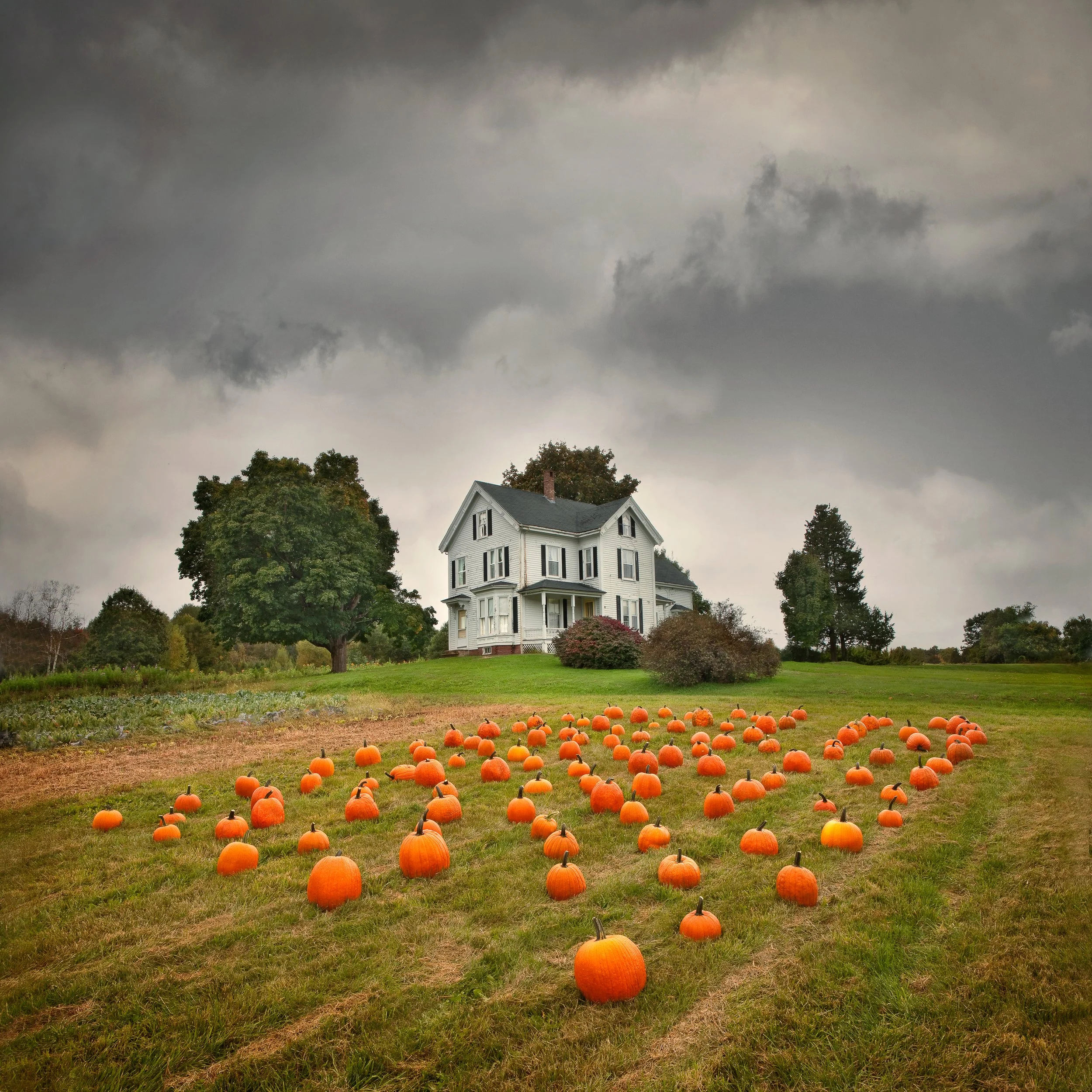 george-disario-260930-website-scenics-10.jpg