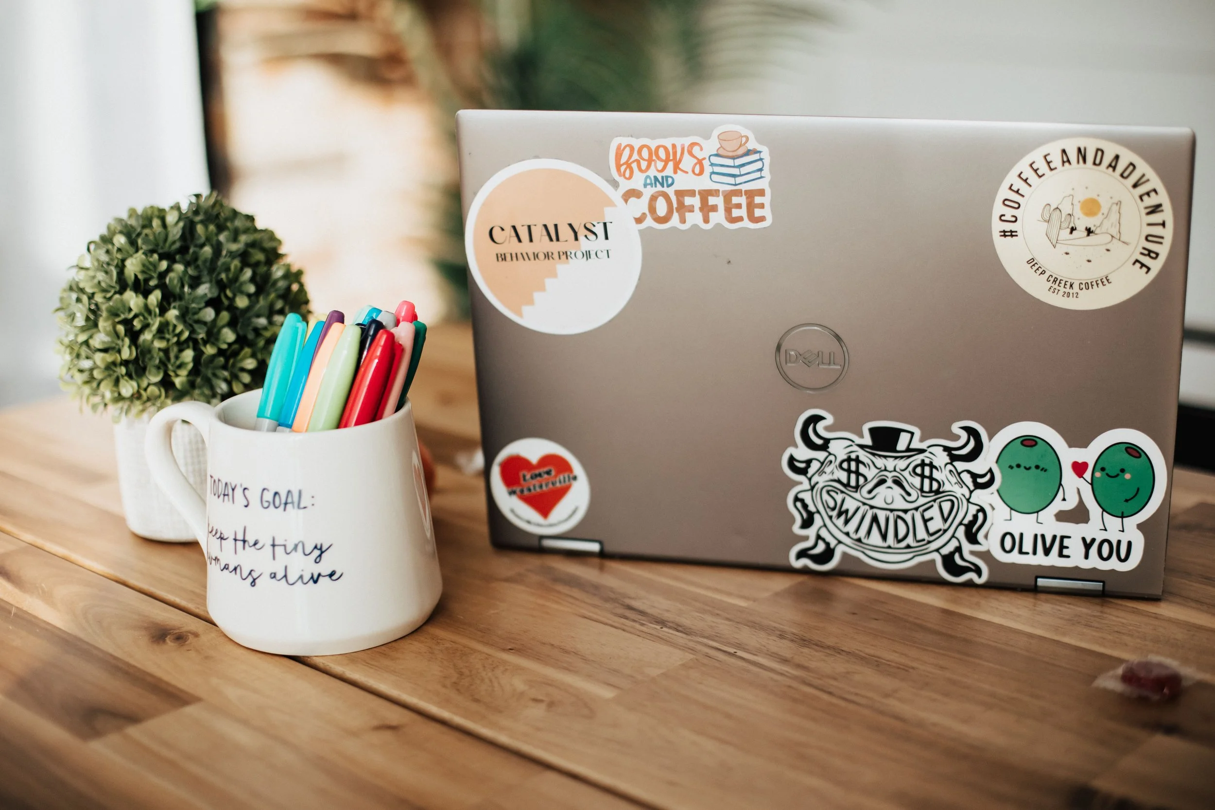 behavior skills for educators columbus, oh