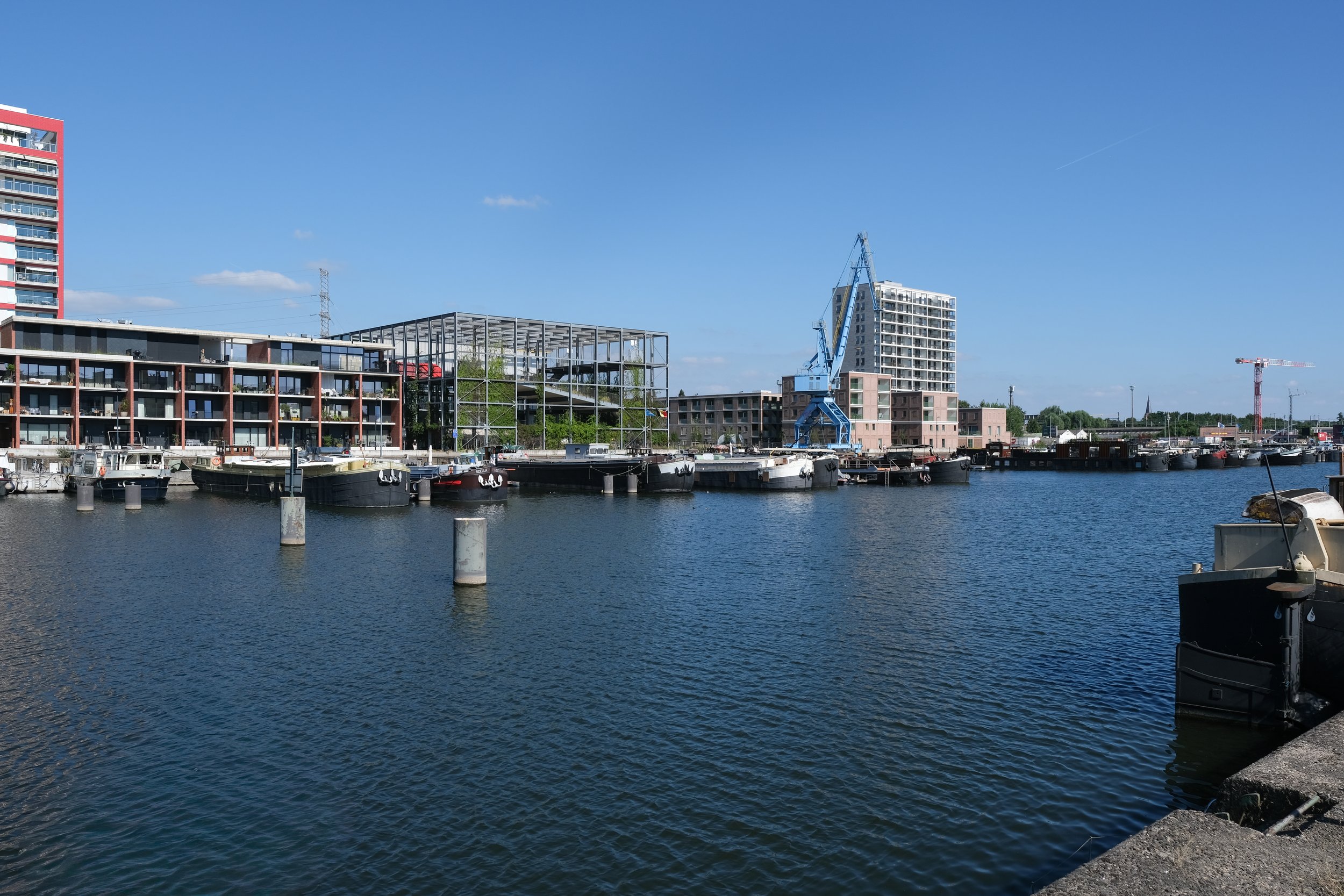 DSCF0552.jpg