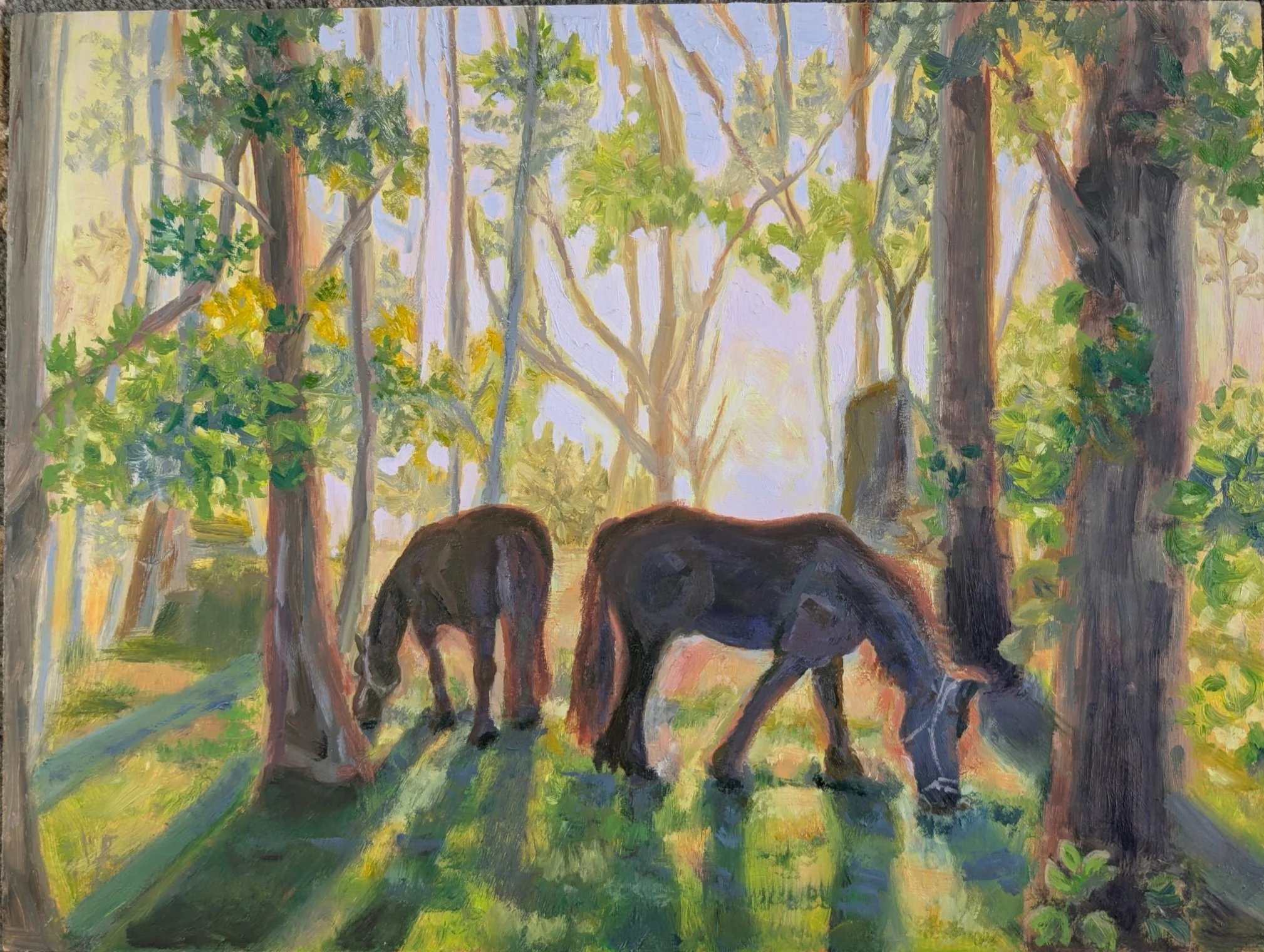 Morning Serenity, 12" x 9", unframed