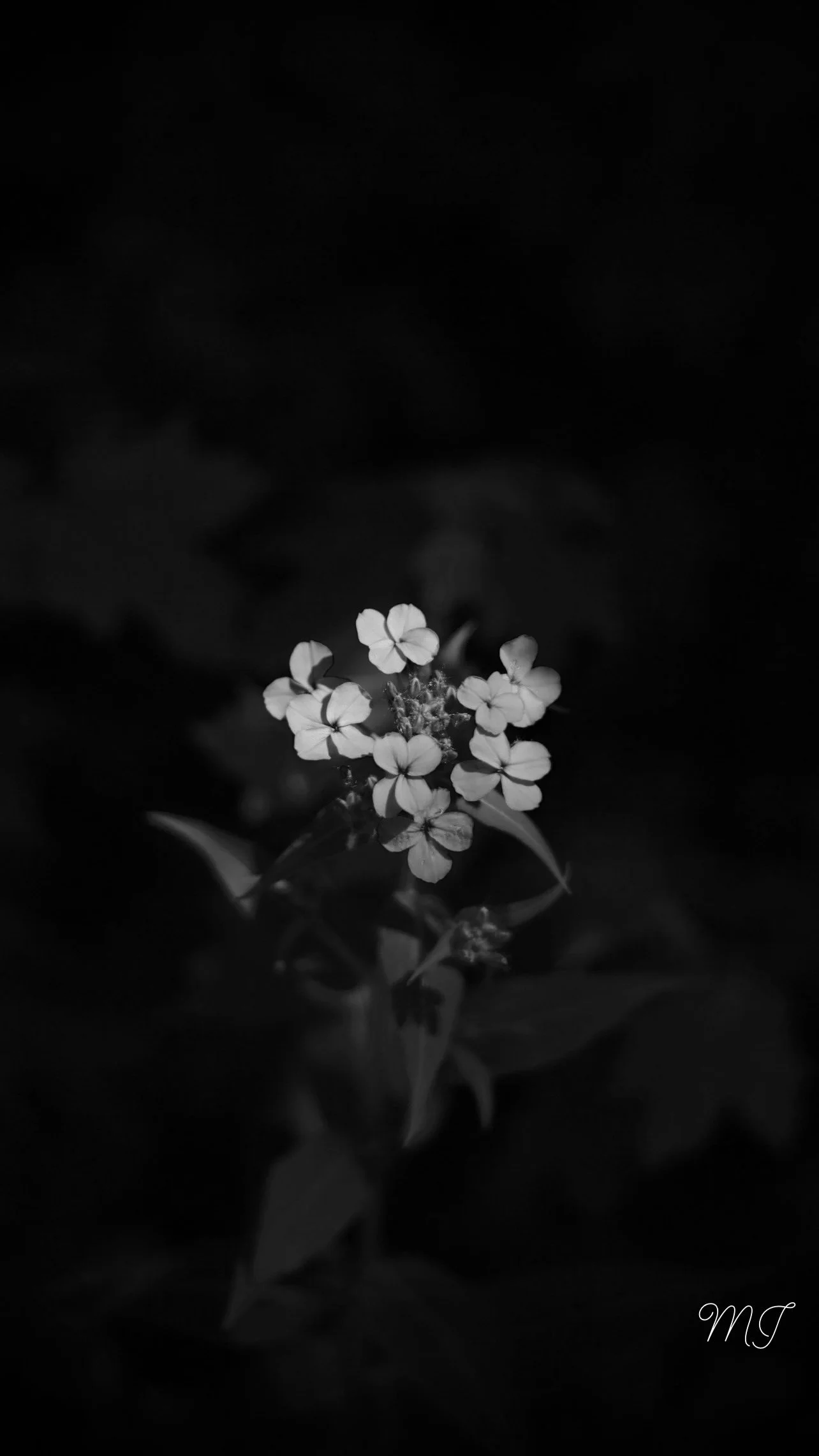 The Journey from Not Knowing to Knowing… 