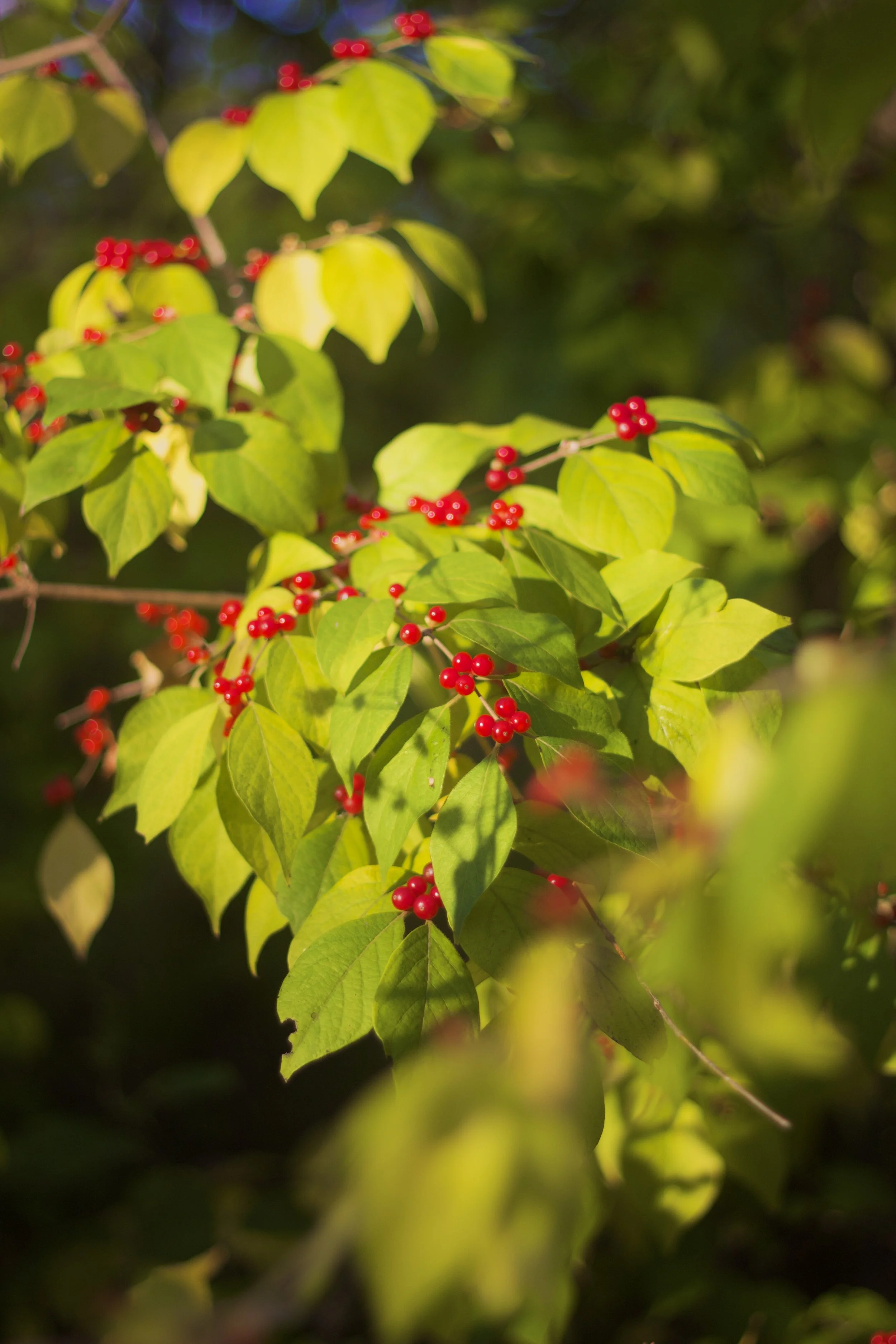 The Religion I Built Without God