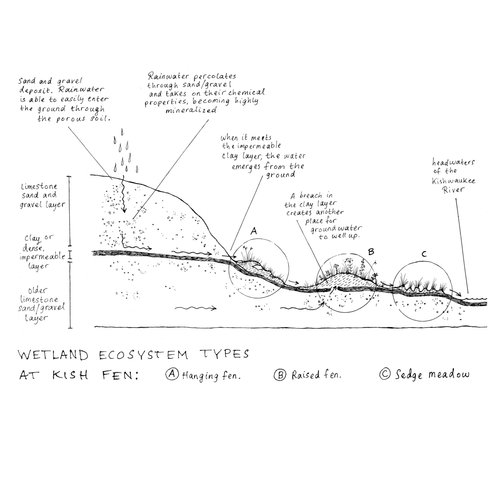 What is a fen? — Friends of Kishwaukee Fen