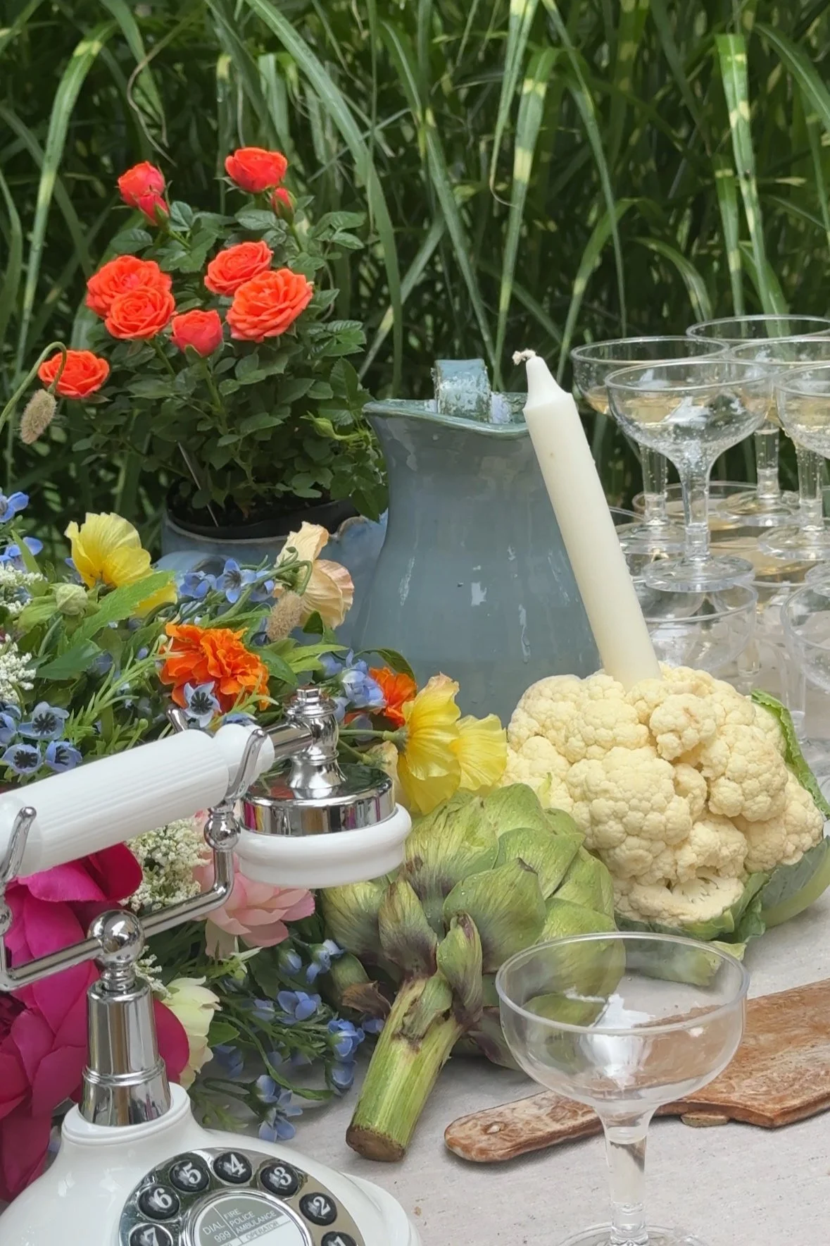 IMG_8442.jpg