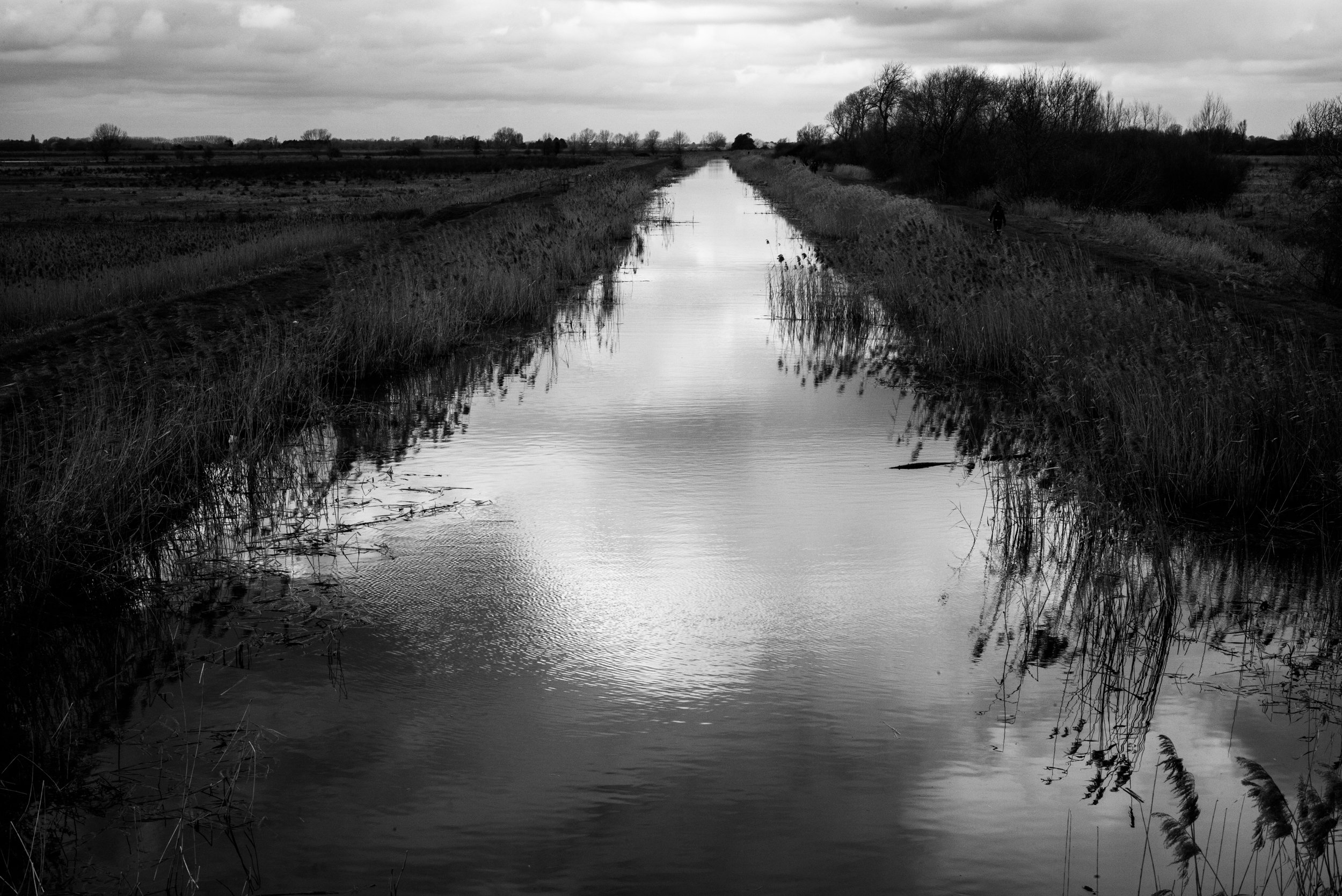 Wicken Fen, Cambridgeshire