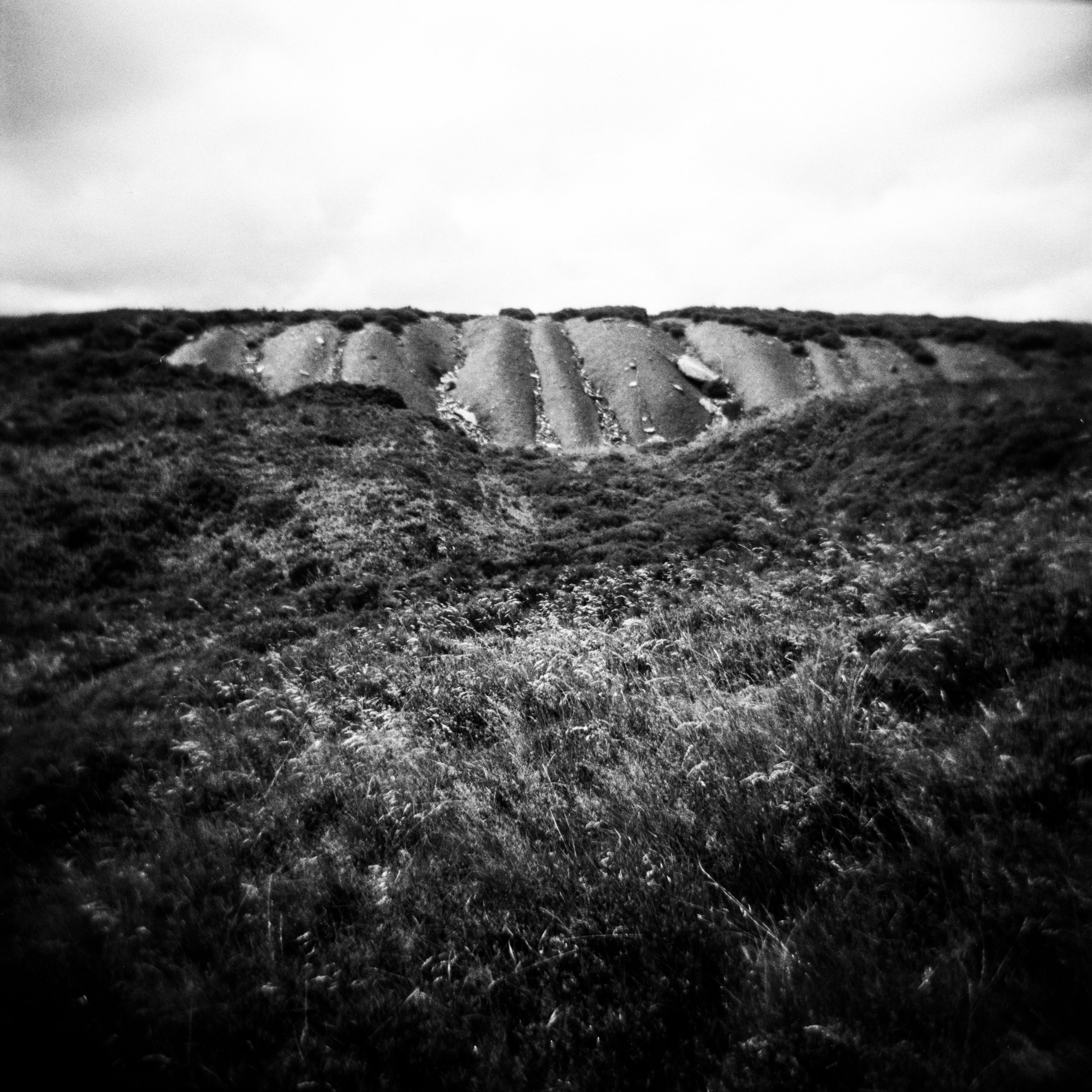 Canada Tips, Blaenavon