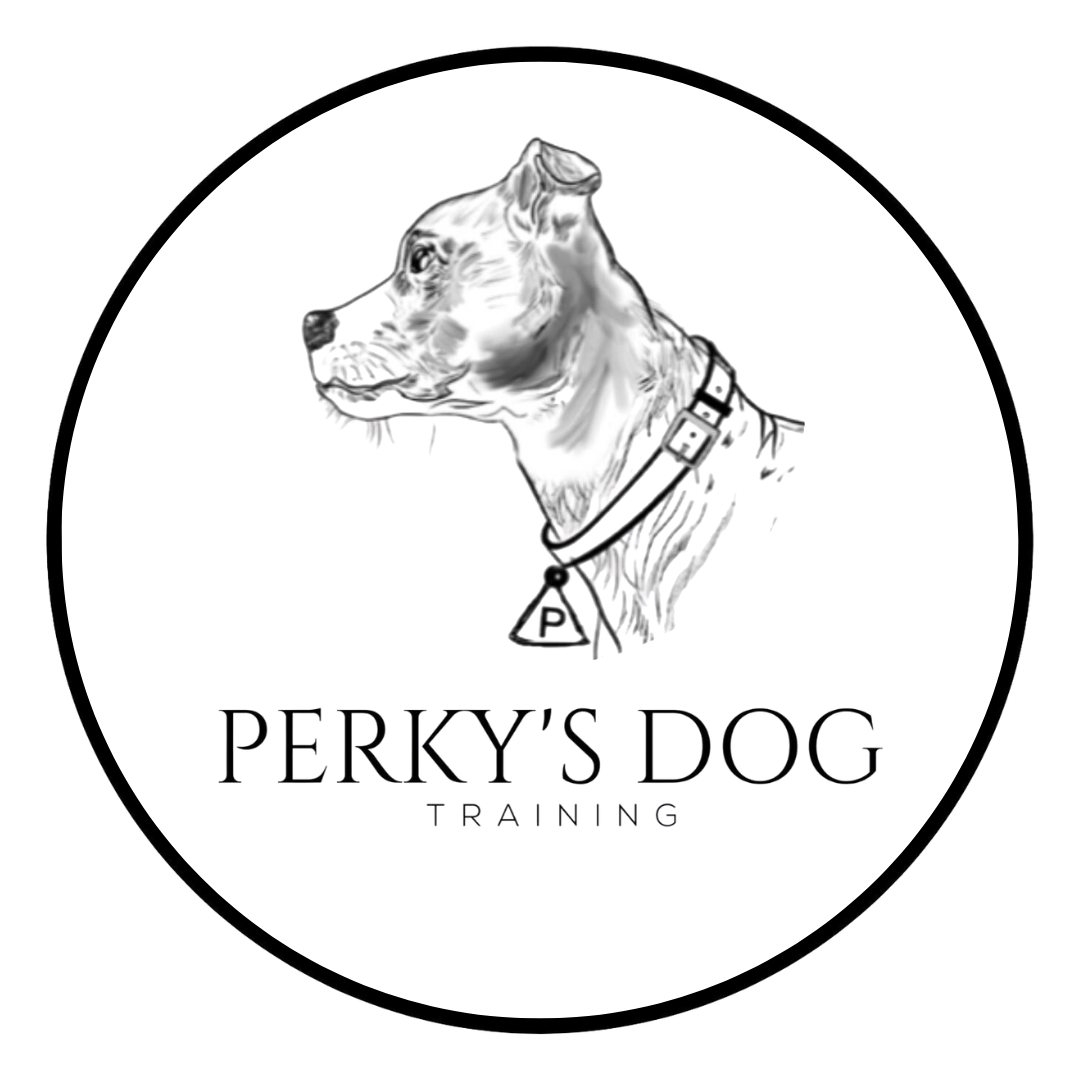 Perky&#39;s Dog Training