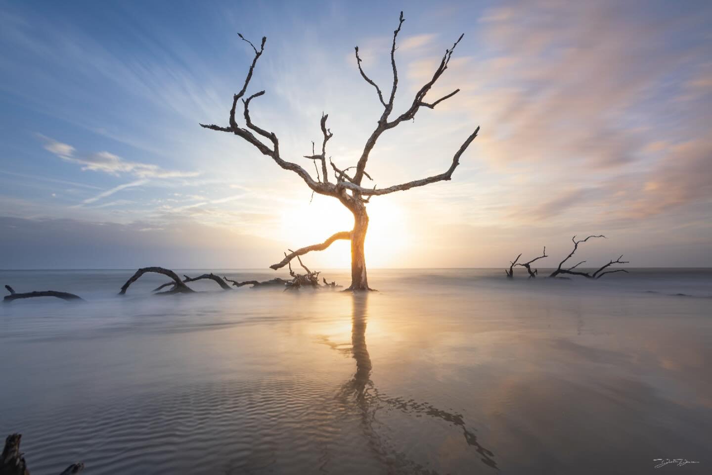 At Boneyard Beach on Jekyll Island there are towering oak trees sculpted and stripped by the sea- and picture into the past before centuries of erosion slowly reclaimed the shoreline. 

In the early morning, the tide was coming in rapidly, which allo