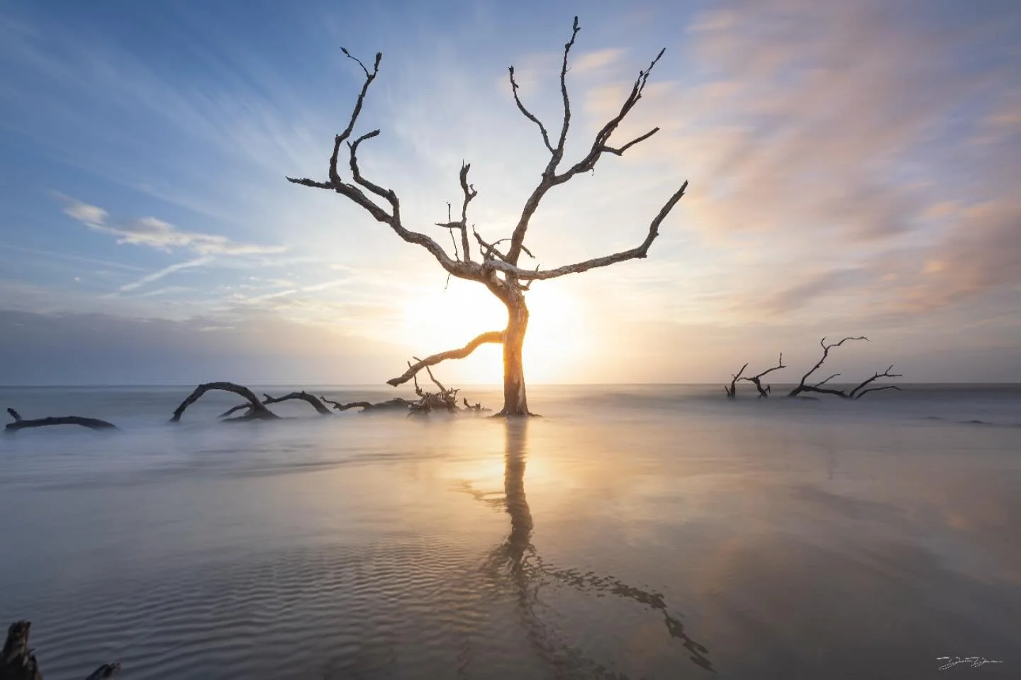At Boneyard Beach on Jekyll Island there are towering oak trees sculpted and stripped by the sea- and picture into the past before centuries of erosion slowly reclaimed the shoreline. 

In the early morning, the tide was coming in rapidly, which allo