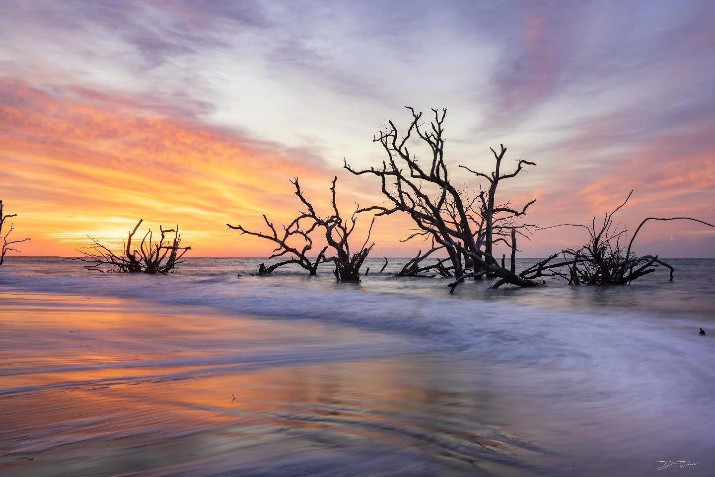 Sunrise at Botany Bay in South Carolina Low country. 

I woke up at 5am at my campsite for this photo. I drove to Botany Bay, waited for the gates to open, and made the hike to this spot all before sunrise.

Walking around looking for perfect frames 