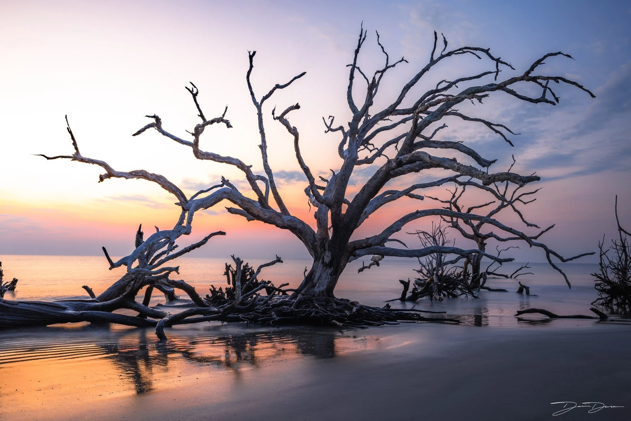 Boneyard Beach, Jekyll Island, Ga. 

A truly incredible coastline littered with the remains of an old Live oak Forest slowly eroded by storms. 
.
.
Shot on @canonusa R5 with a 28-70mm F2L lens using @nisiopticsusa ND filters.
.
.
.
#jekyllisland #dri