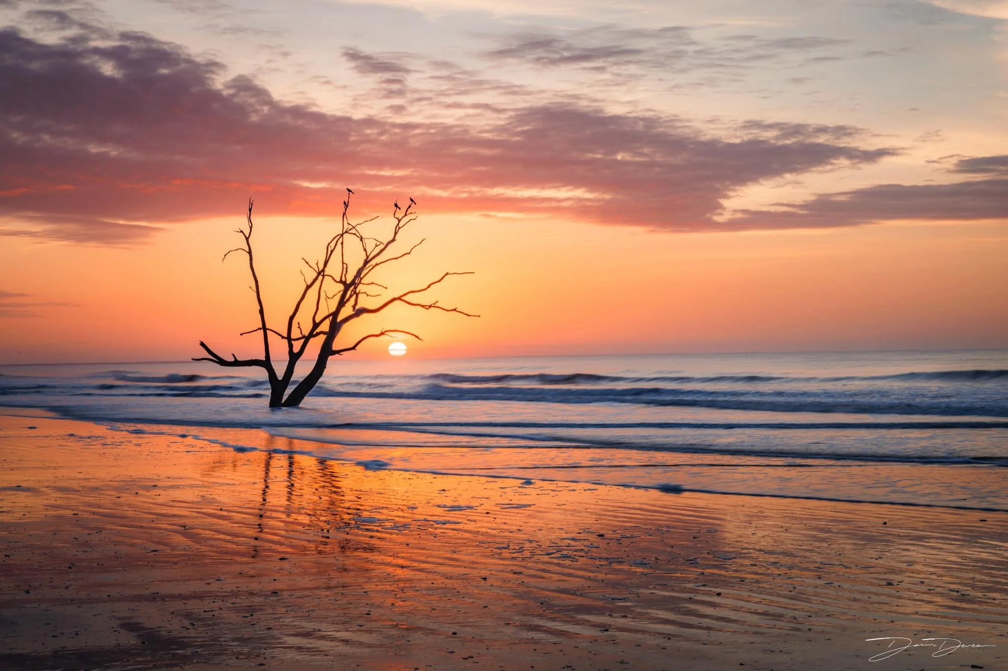 Beautiful sunrise at a secluded beach on Edisto Island, SC. #shotoncanon 
.
.
.
Shot using @canonusa R5 + 28-70 F2L with @nisiopticsusa filters #nisifilters #canonr5 #edistoisland #sunrisephotographs